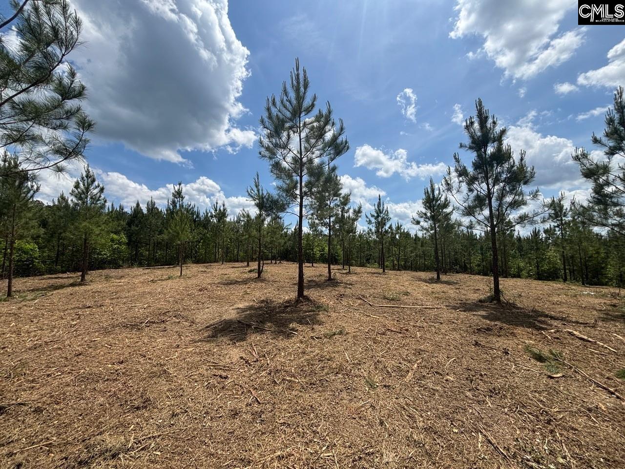 SCF 2 Long Cane Road UNIT SCF 2 Edgefield, SC 29824