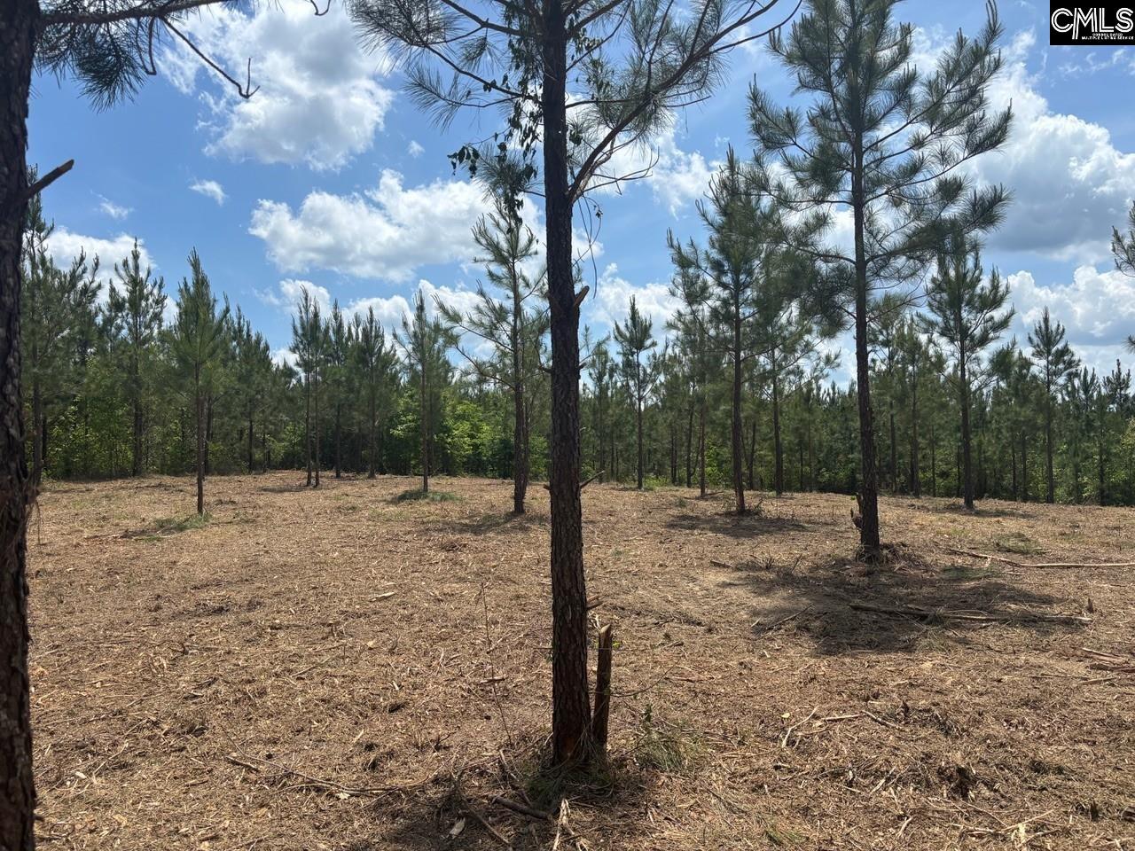 SCF 2 Long Cane Road UNIT SCF 2 Edgefield, SC 29824
