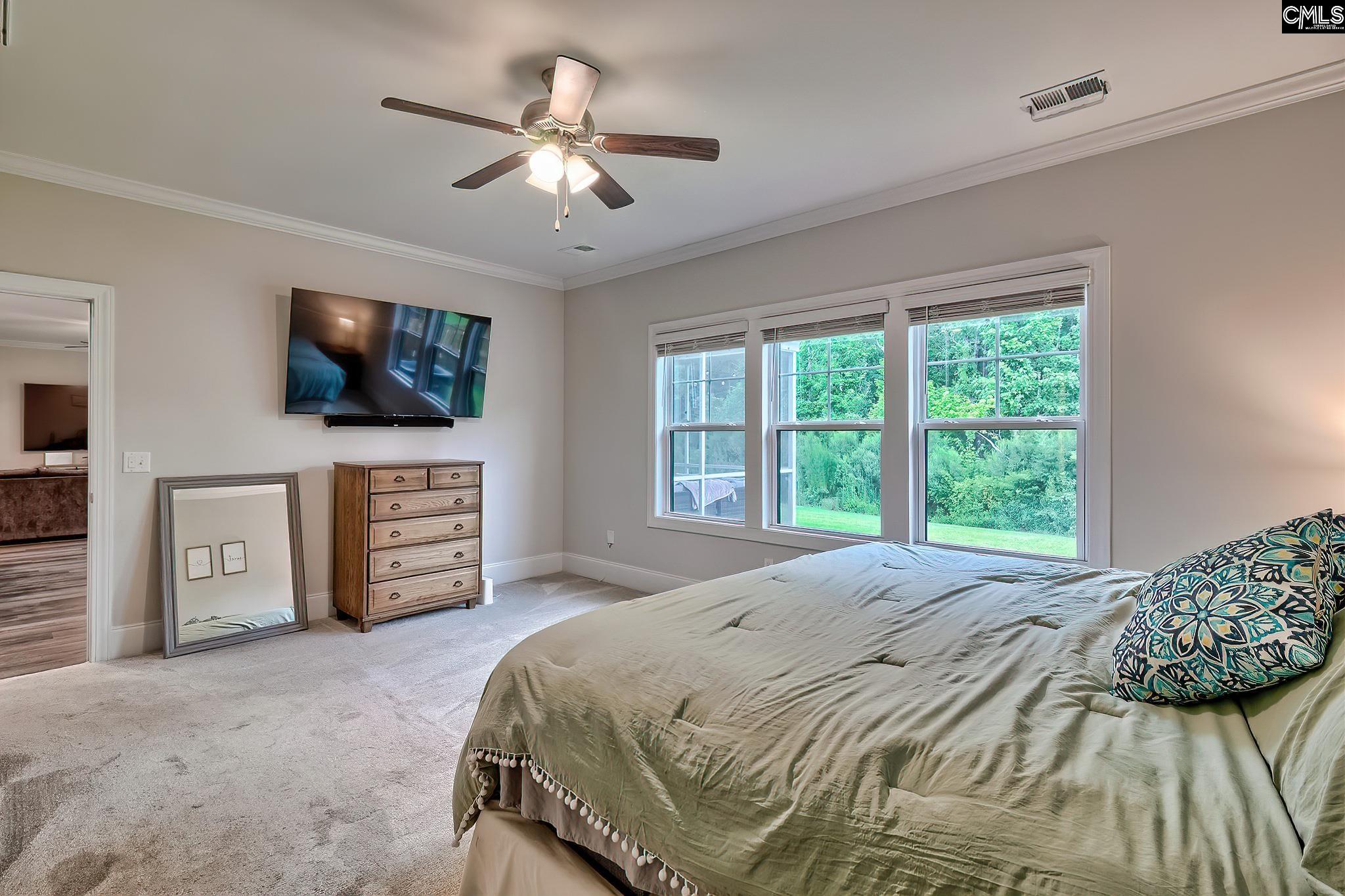 186 Collins Cove Drive Chapin, SC 29036
