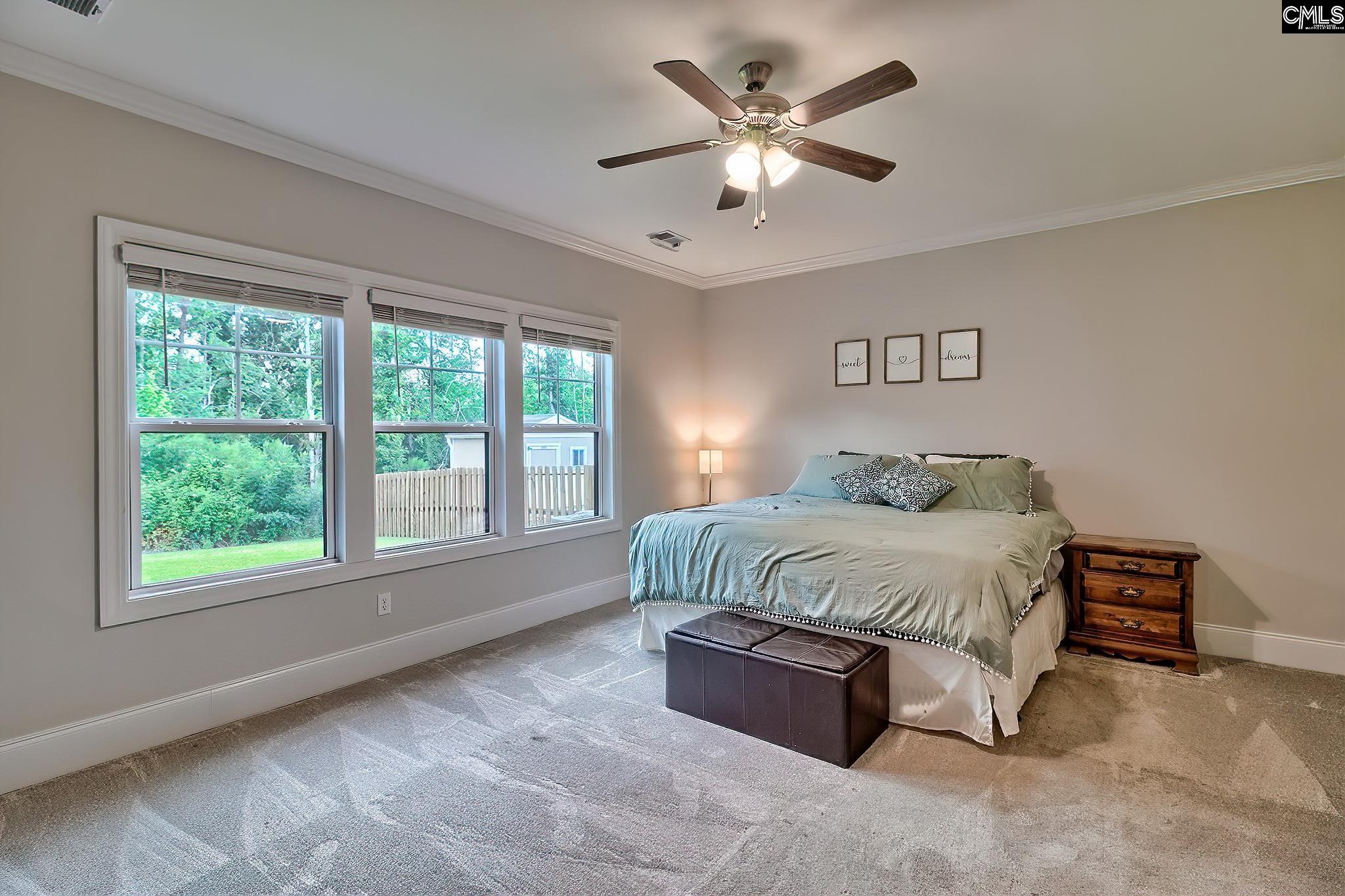 186 Collins Cove Drive Chapin, SC 29036