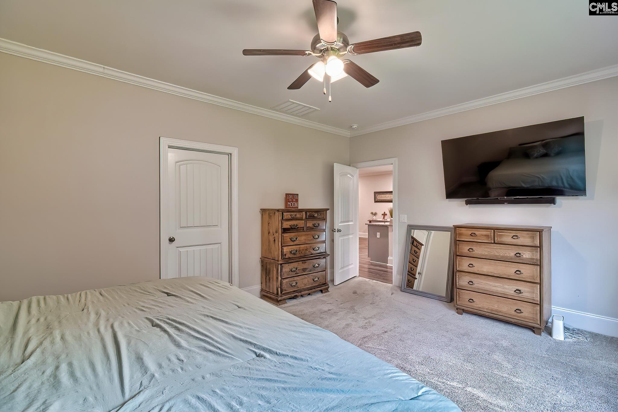 186 Collins Cove Drive Chapin, SC 29036