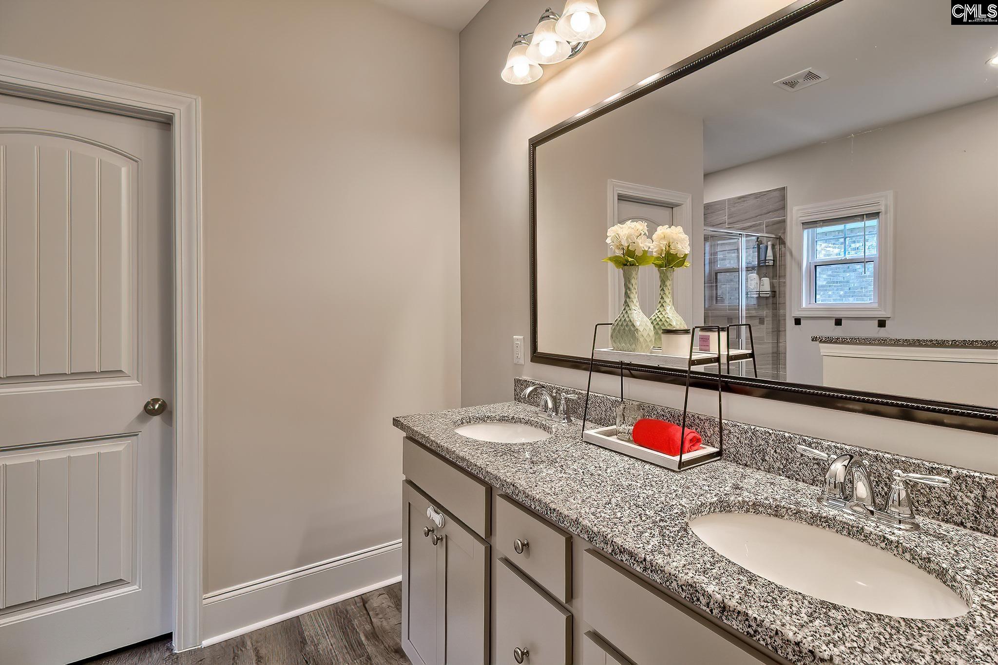 186 Collins Cove Drive Chapin, SC 29036