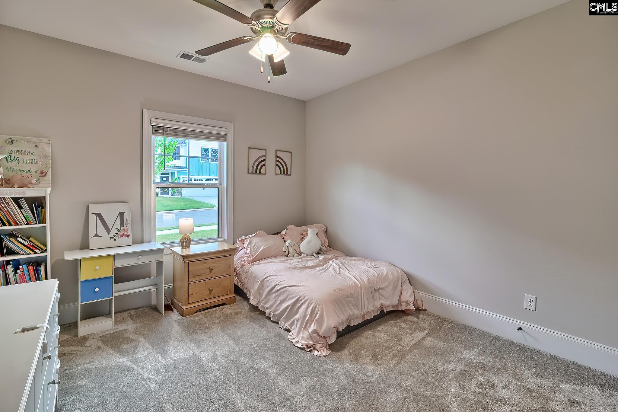 186 Collins Cove Drive Chapin, SC 29036