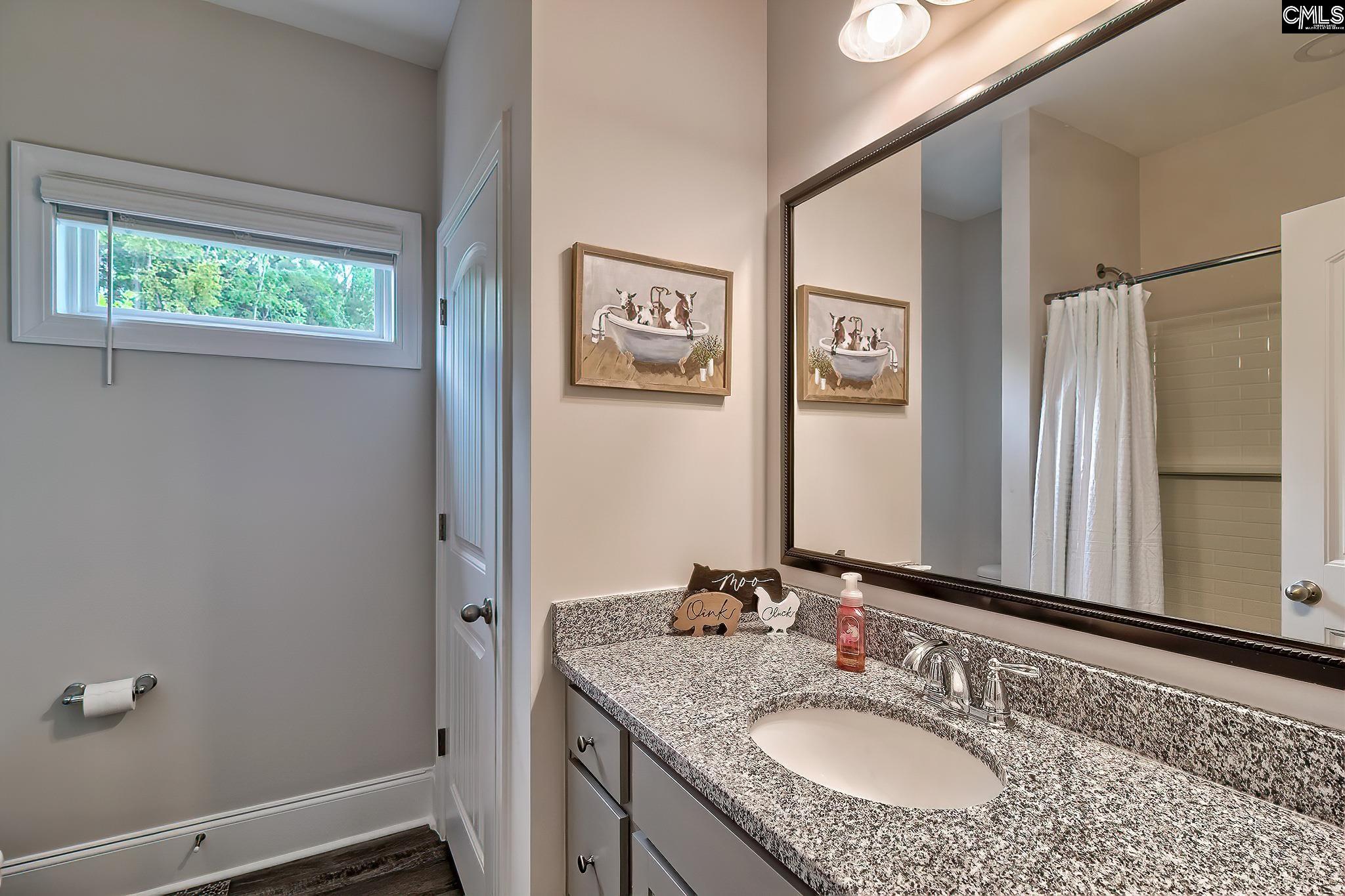 186 Collins Cove Drive Chapin, SC 29036