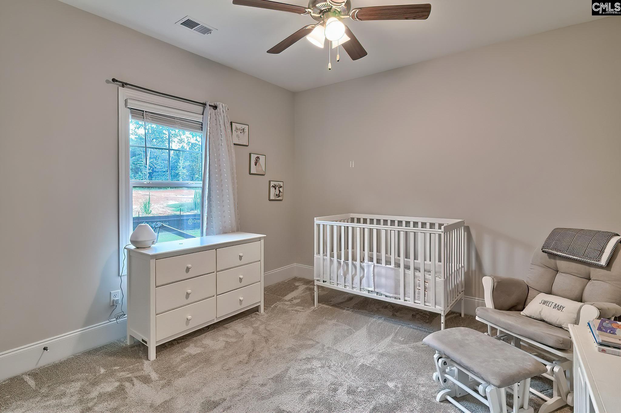 186 Collins Cove Drive Chapin, SC 29036