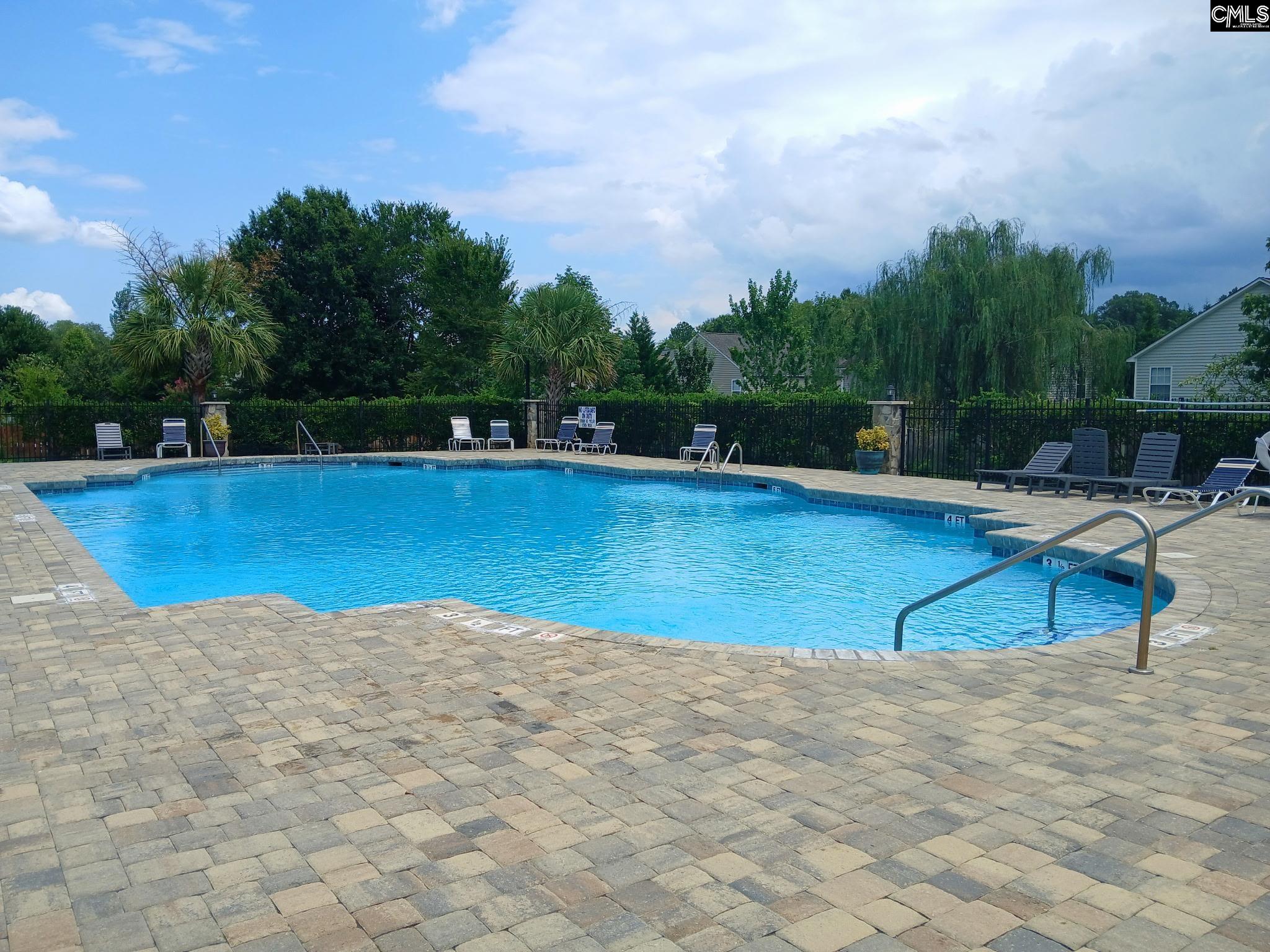 260 Eagle Pointe Drive Chapin, SC 29036