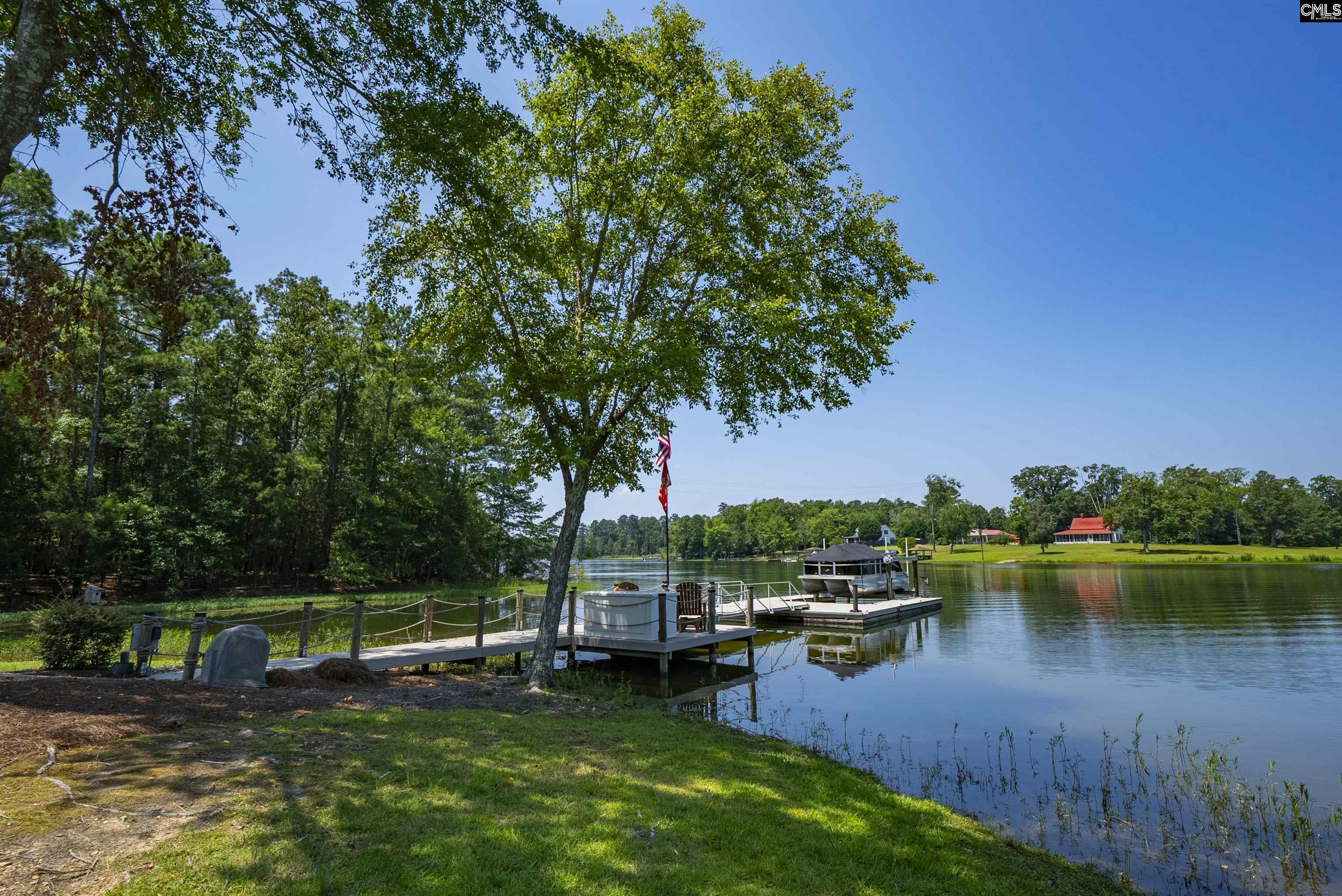 424 Camping Creek Court Chapin, SC 29036