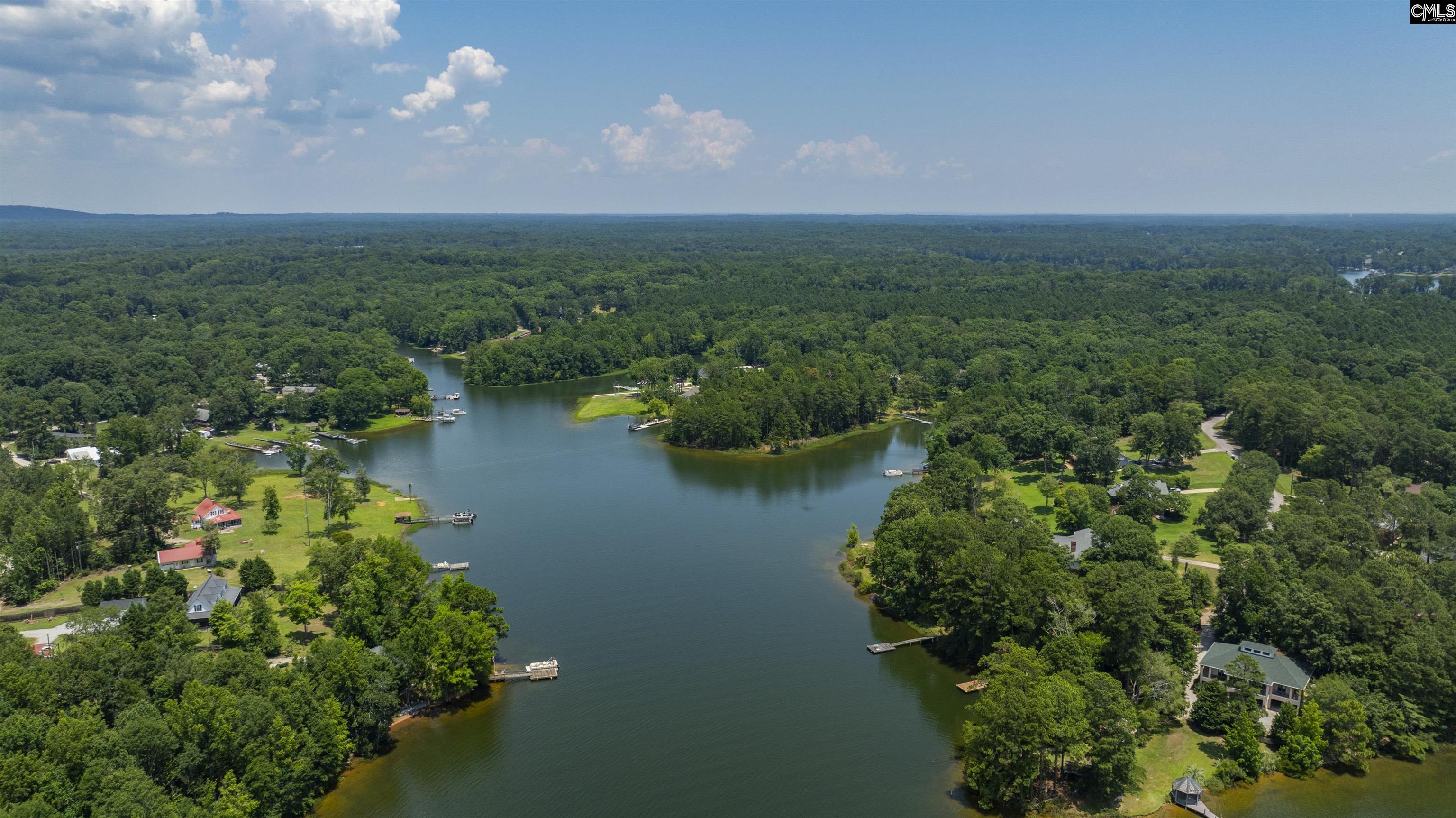 424 Camping Creek Court Chapin, SC 29036