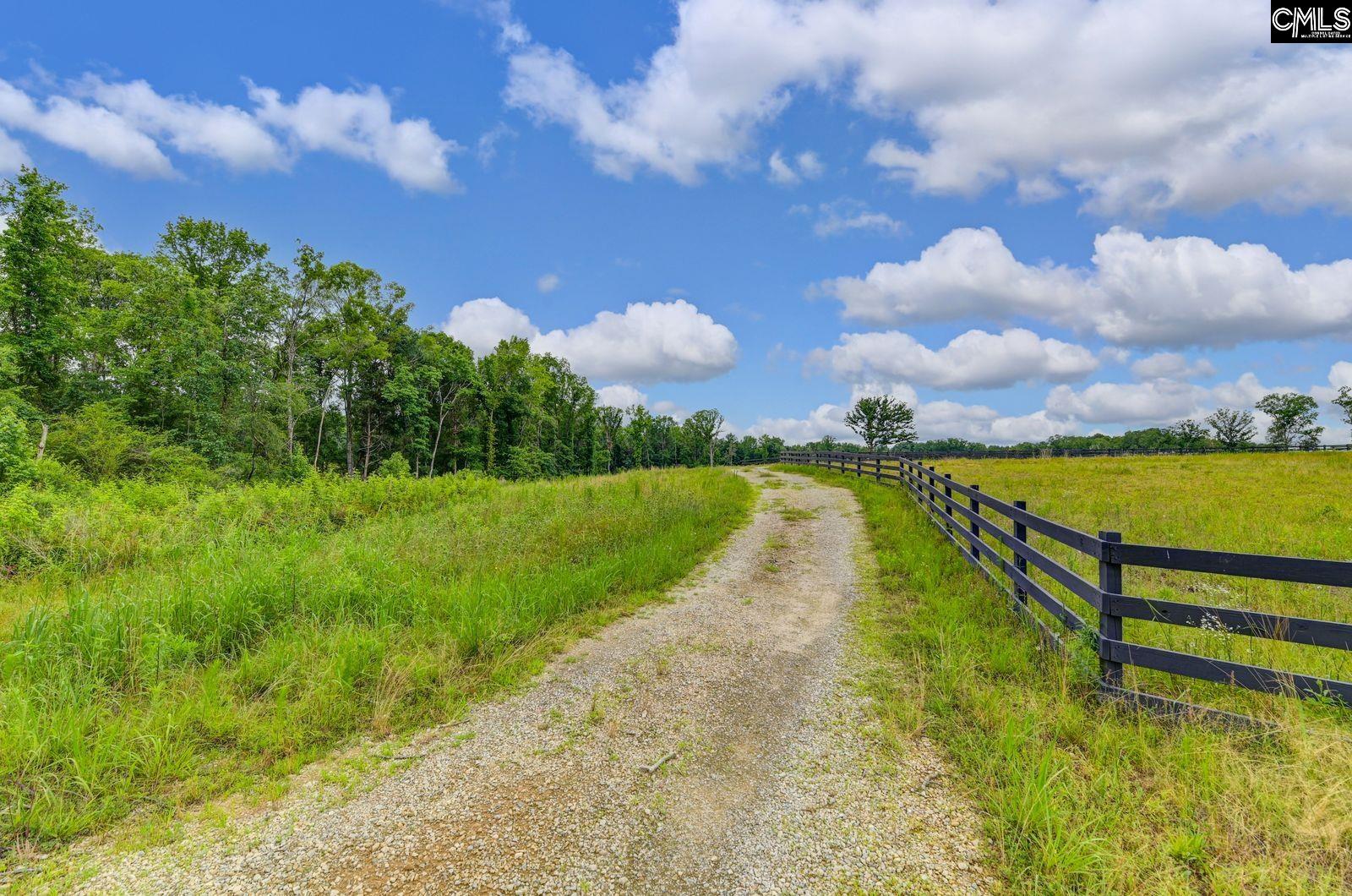 2544 Wessinger Road UNIT Lot 3 Chapin, SC 29036