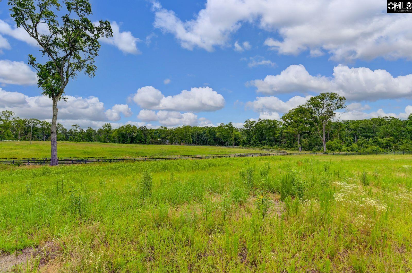 2544 Wessinger Road UNIT Lot 3 Chapin, SC 29036