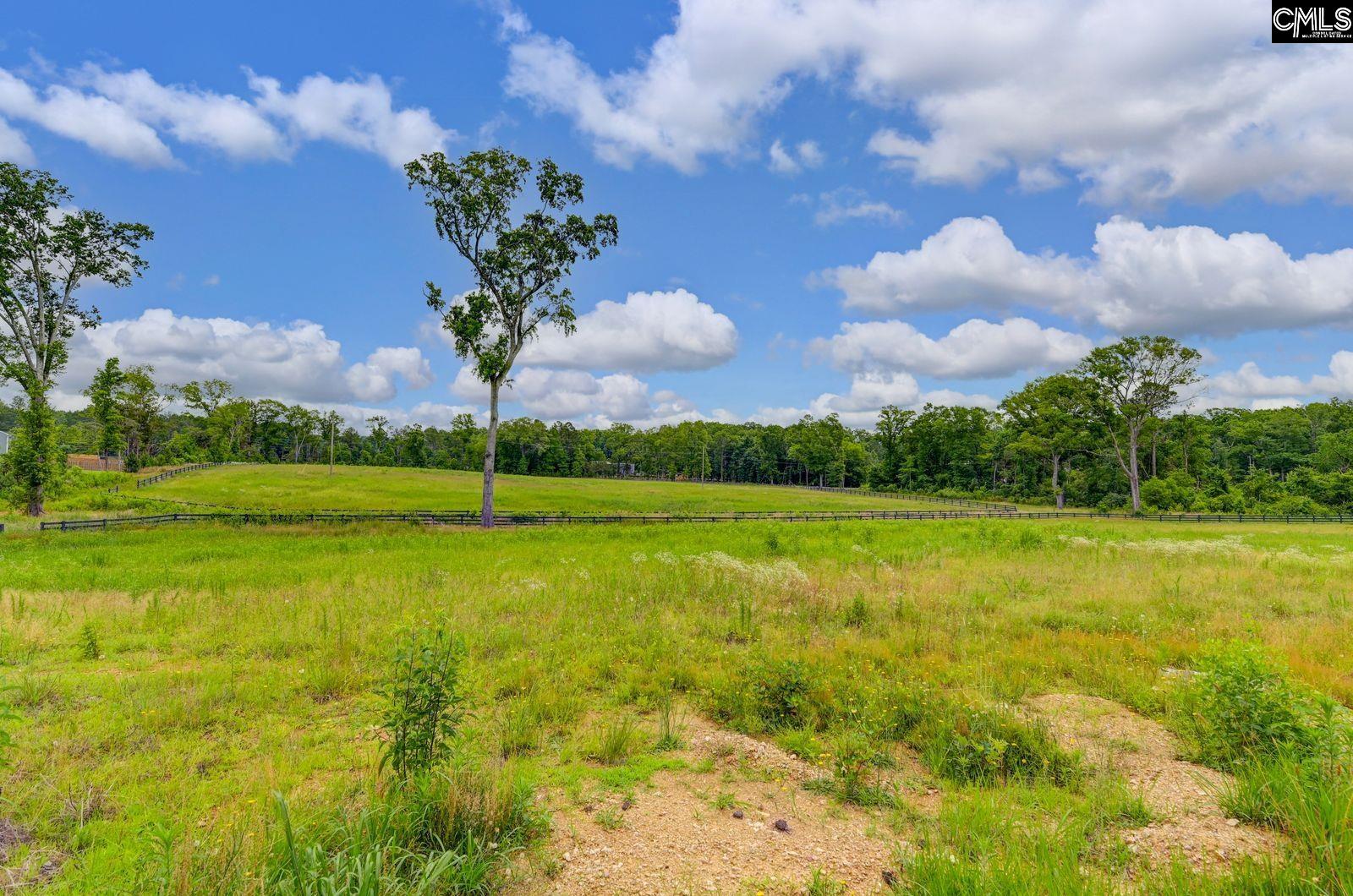 2544 Wessinger Road UNIT Lot 3 Chapin, SC 29036