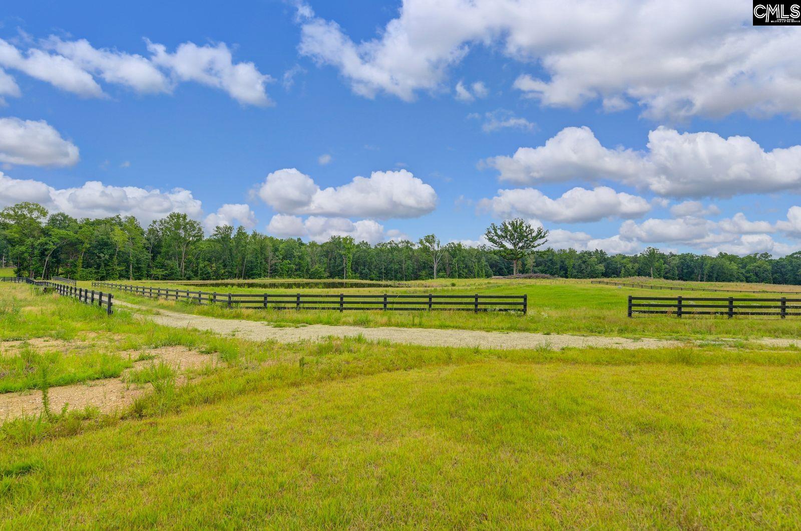 2544 Wessinger Road UNIT Lot 3 Chapin, SC 29036