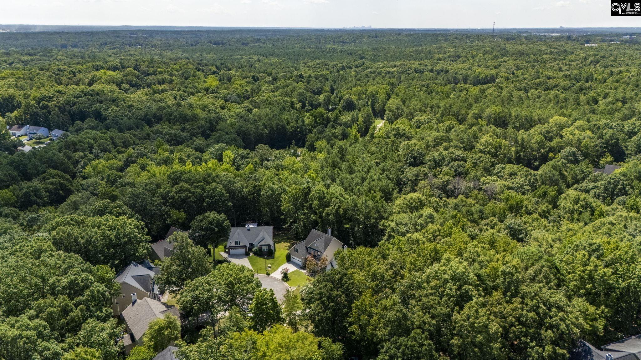 8 Kings Creek Court Irmo, SC 29063