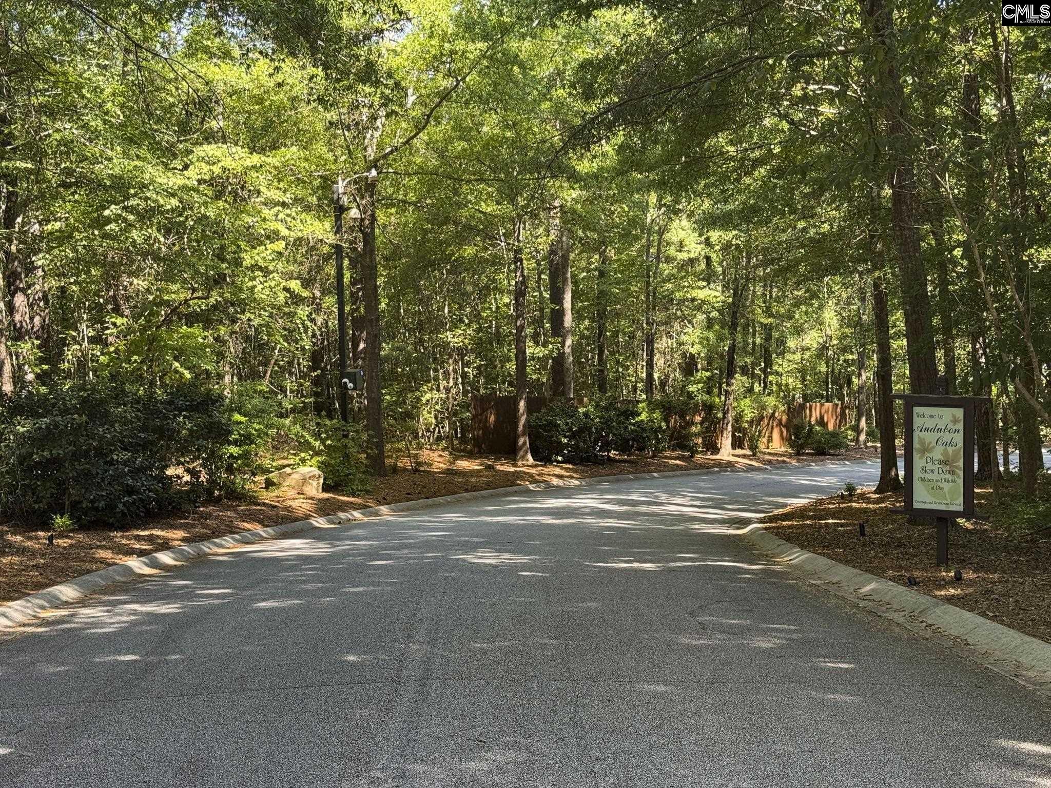 8 Kings Creek Court Irmo, SC 29063