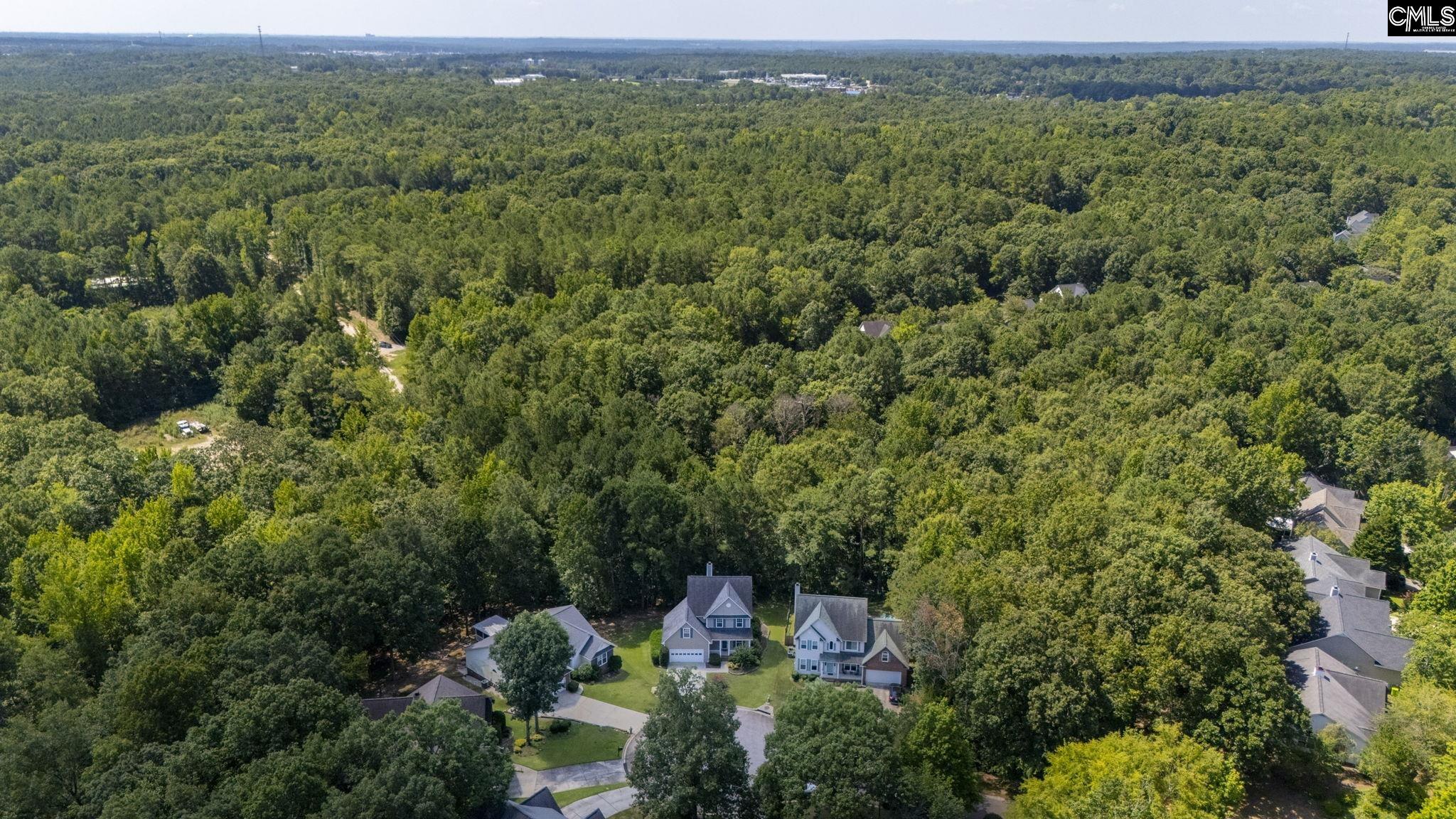 8 Kings Creek Court Irmo, SC 29063