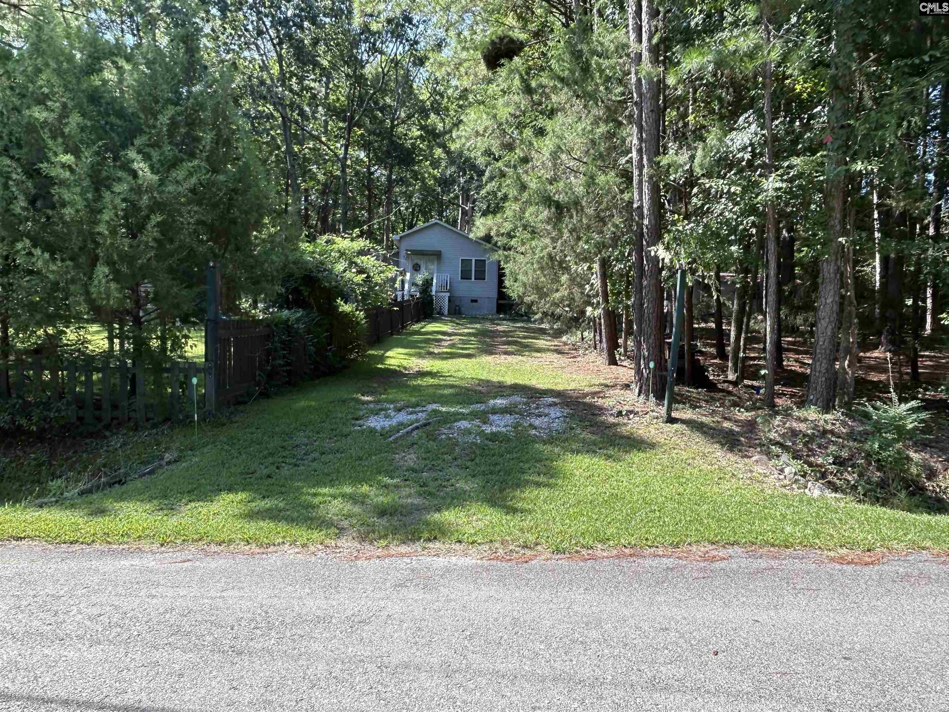 195 Lexington Lane Chapin, SC 29036