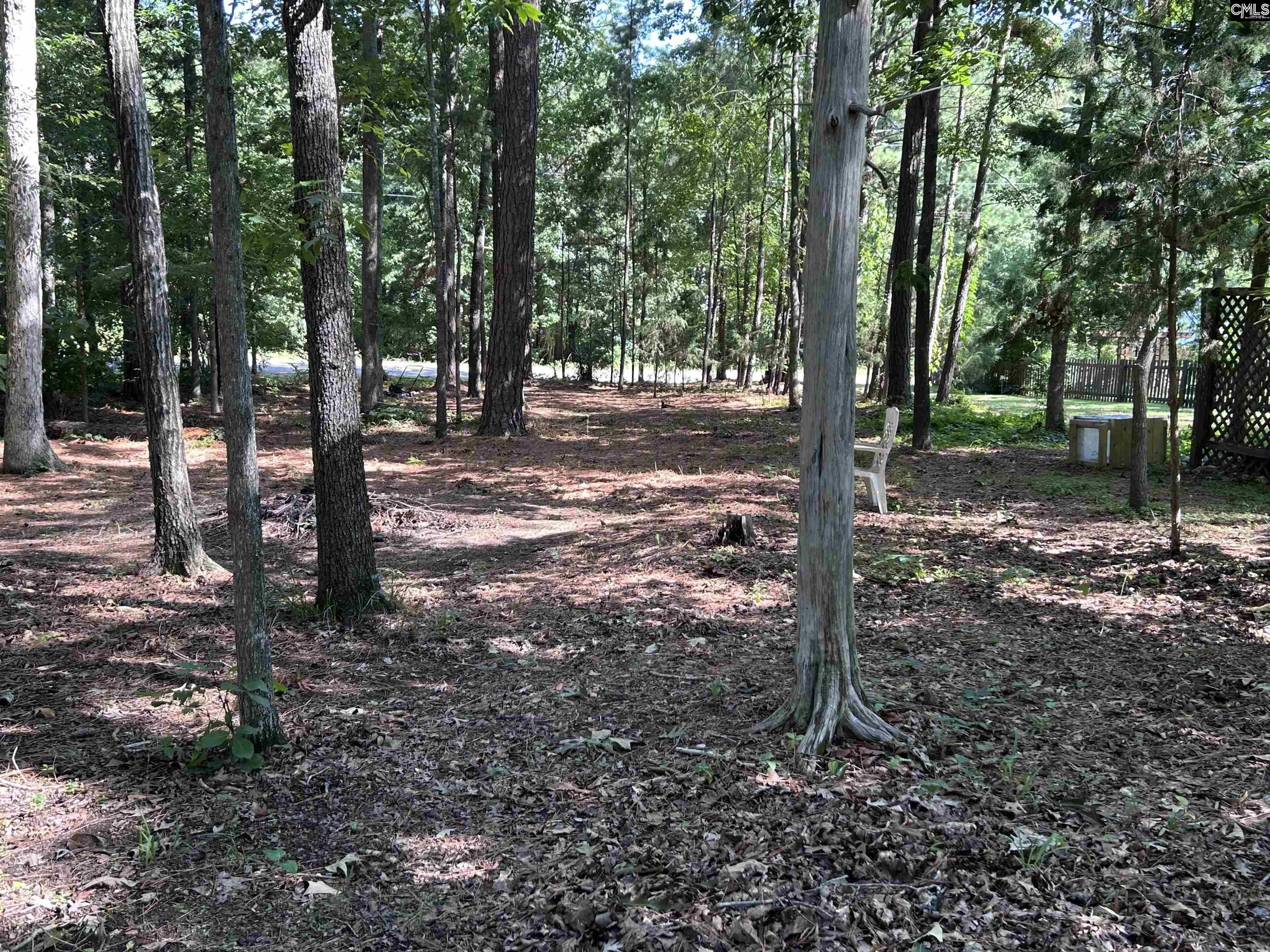 195 Lexington Lane Chapin, SC 29036