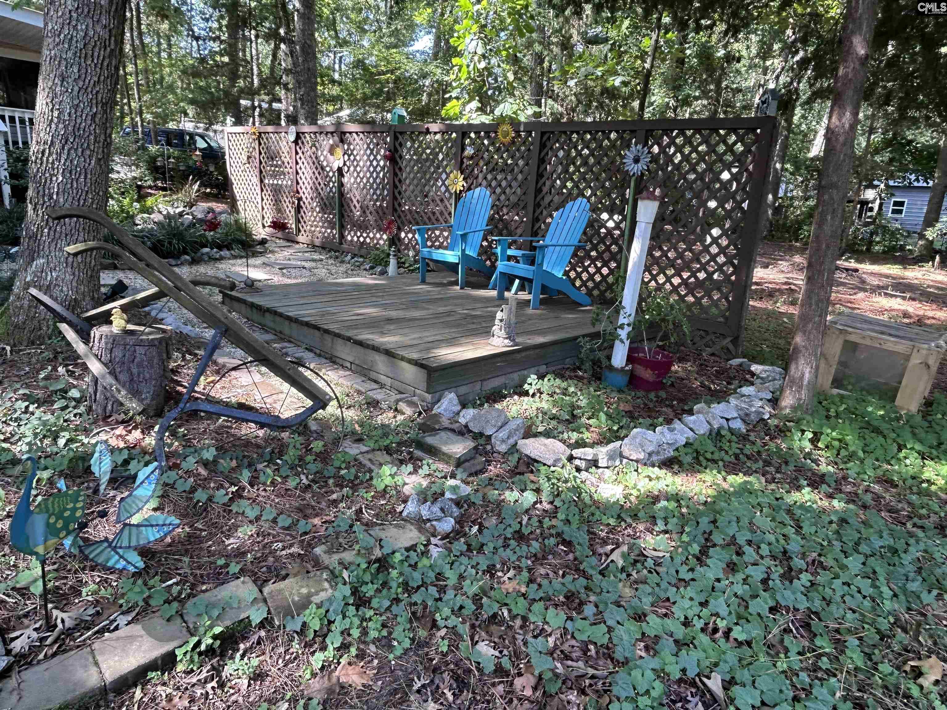 195 Lexington Lane Chapin, SC 29036