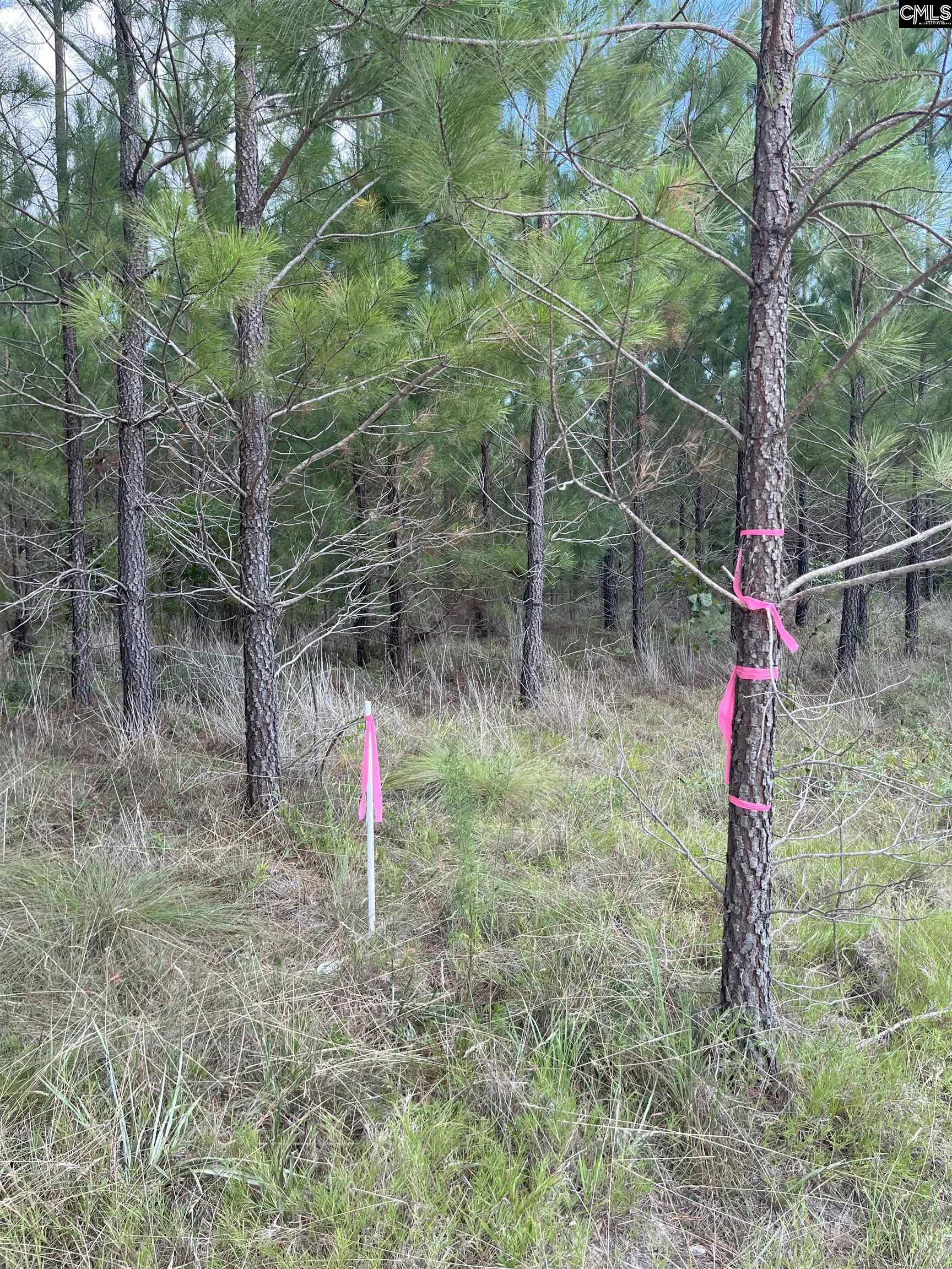 BFF 4 Brunson Teal Road UNIT BFF 4 Cheraw, SC 29584