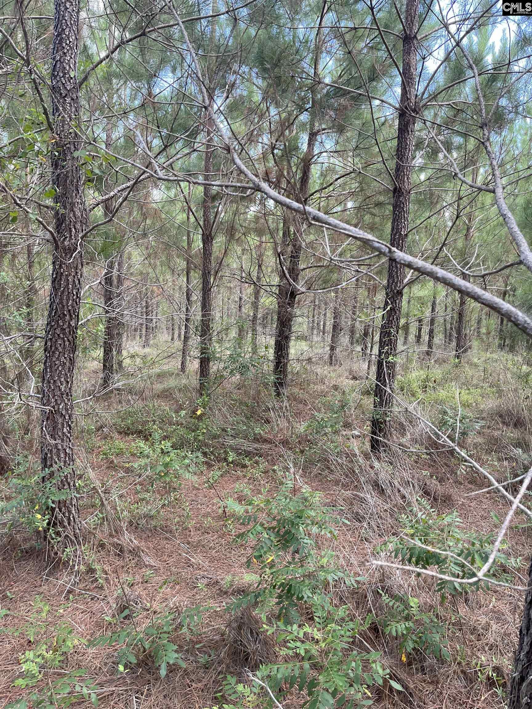 BFF 4 Brunson Teal Road UNIT BFF 4 Cheraw, SC 29584