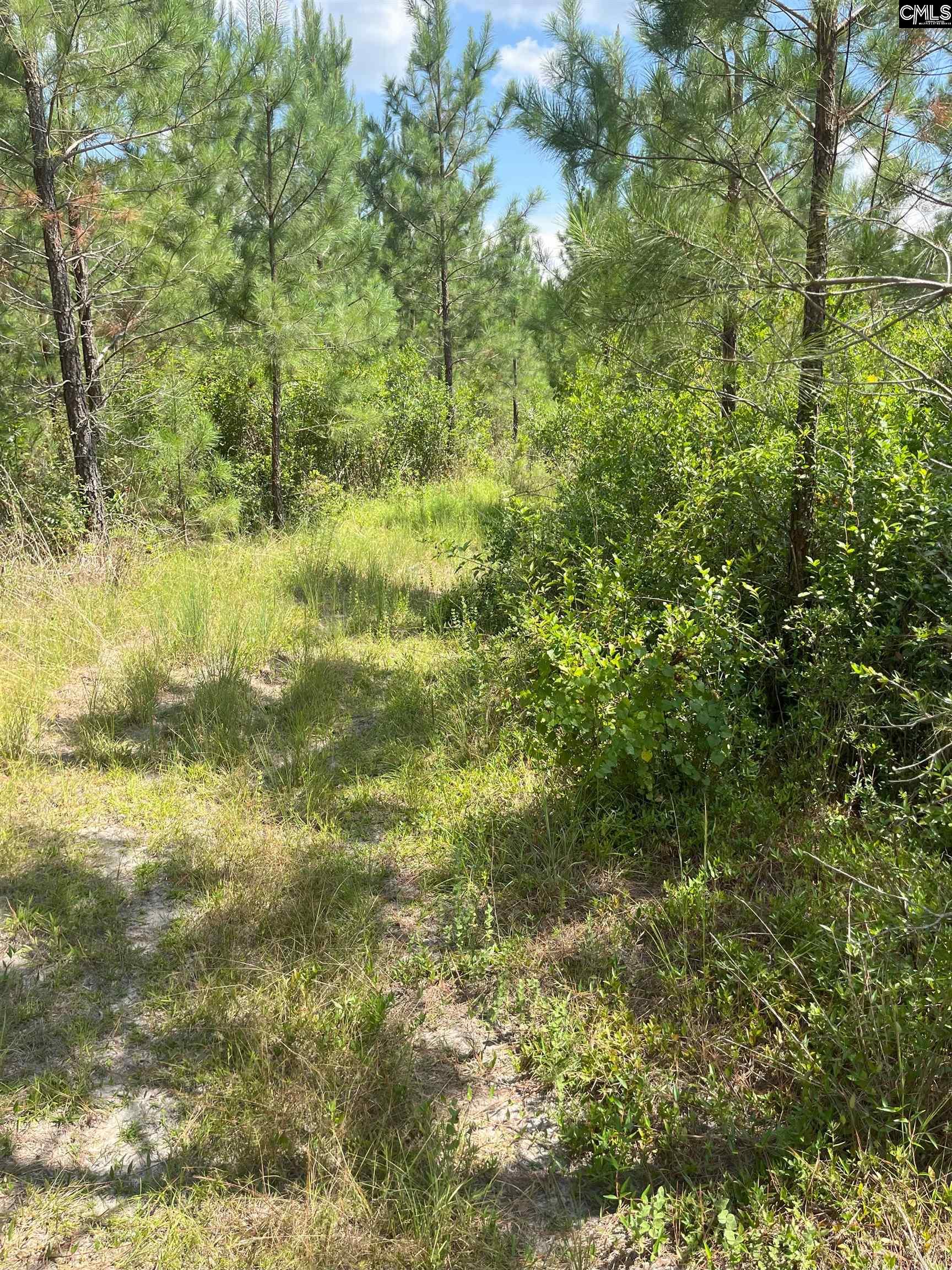 BFF 4 Brunson Teal Road UNIT BFF 4 Cheraw, SC 29584