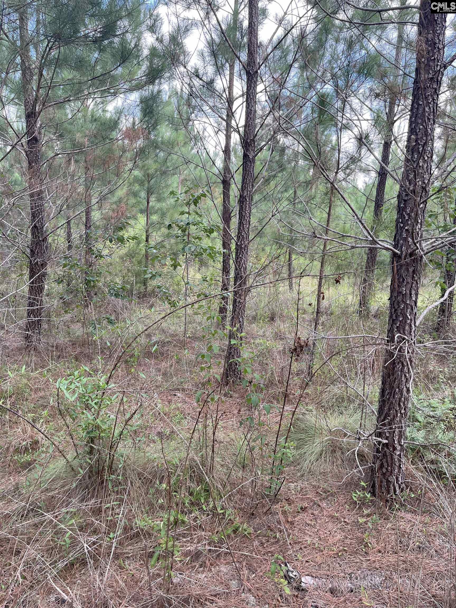BFF 4 Brunson Teal Road UNIT BFF 4 Cheraw, SC 29584