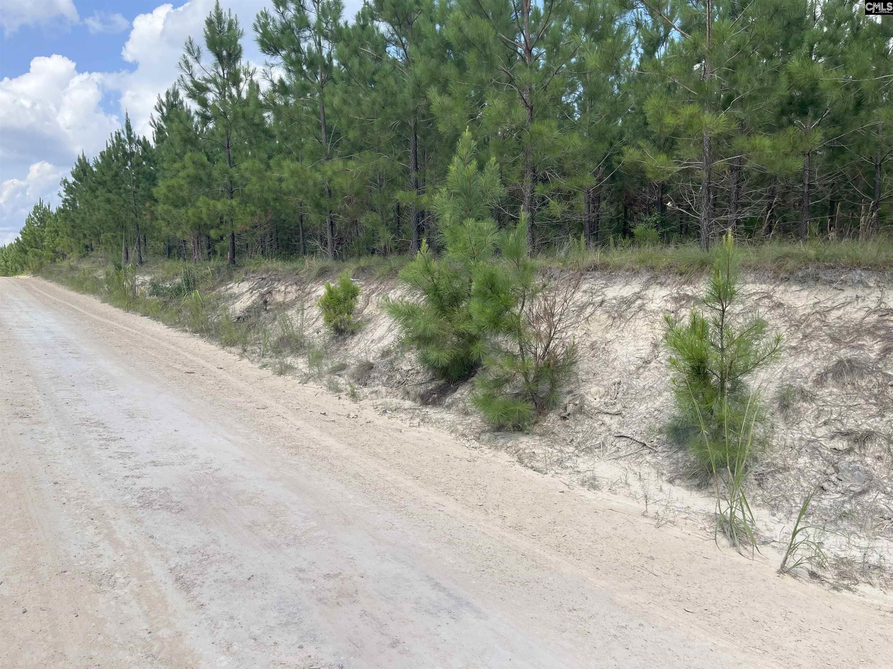 BFF 4 Brunson Teal Road UNIT BFF 4 Cheraw, SC 29584