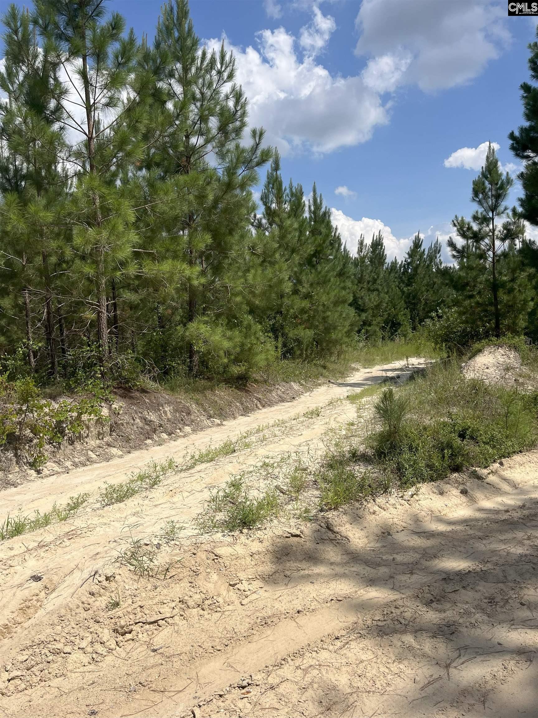 BFF 4 Brunson Teal Road UNIT BFF 4 Cheraw, SC 29584