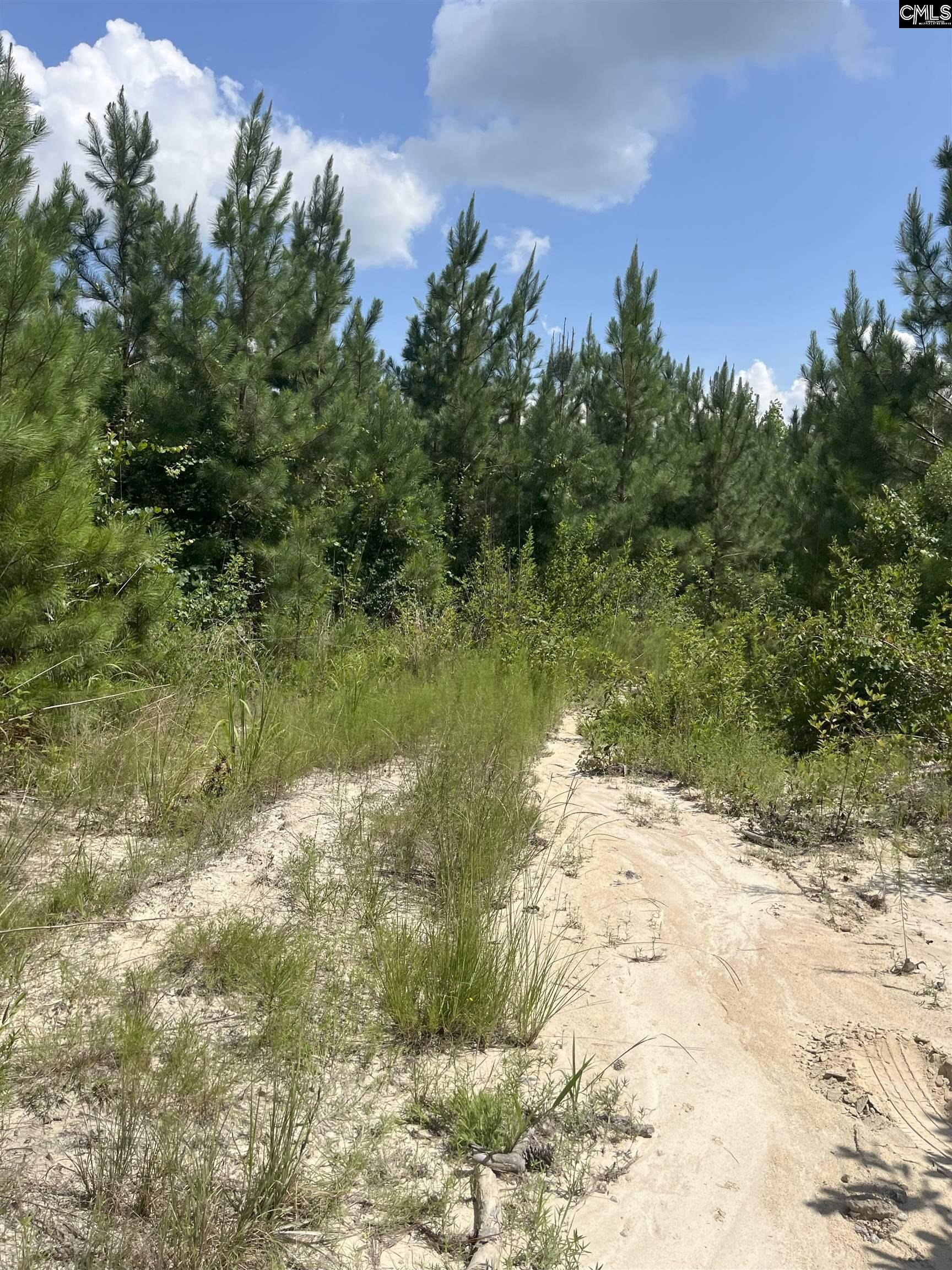 BFF 4 Brunson Teal Road UNIT BFF 4 Cheraw, SC 29584