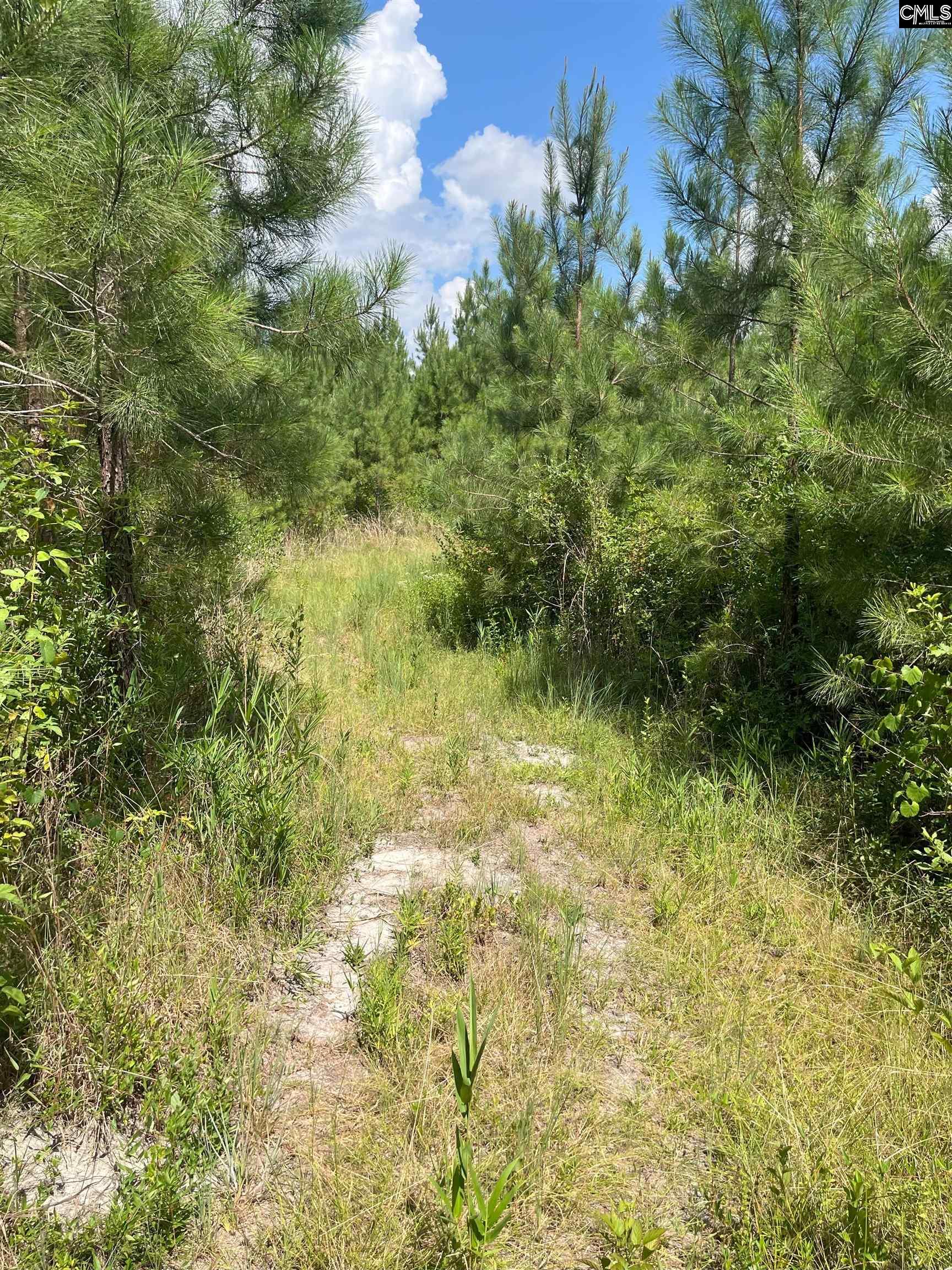 BFF 4 Brunson Teal Road UNIT BFF 4 Cheraw, SC 29584