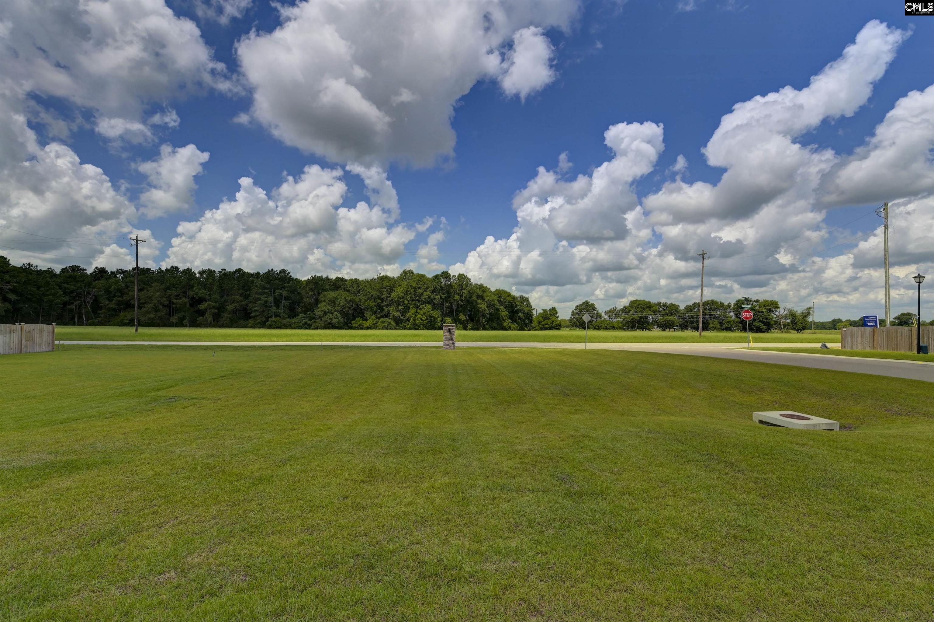 235 Broom Street Gilbert, SC 29054