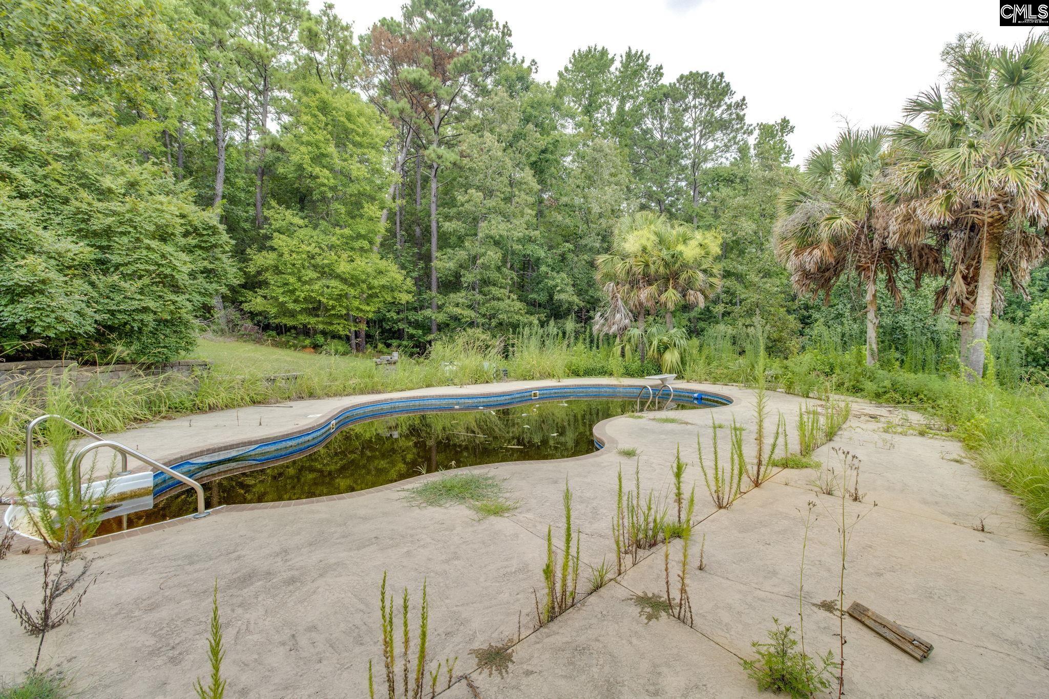 141 Eagle Chase Court Chapin, SC 29036