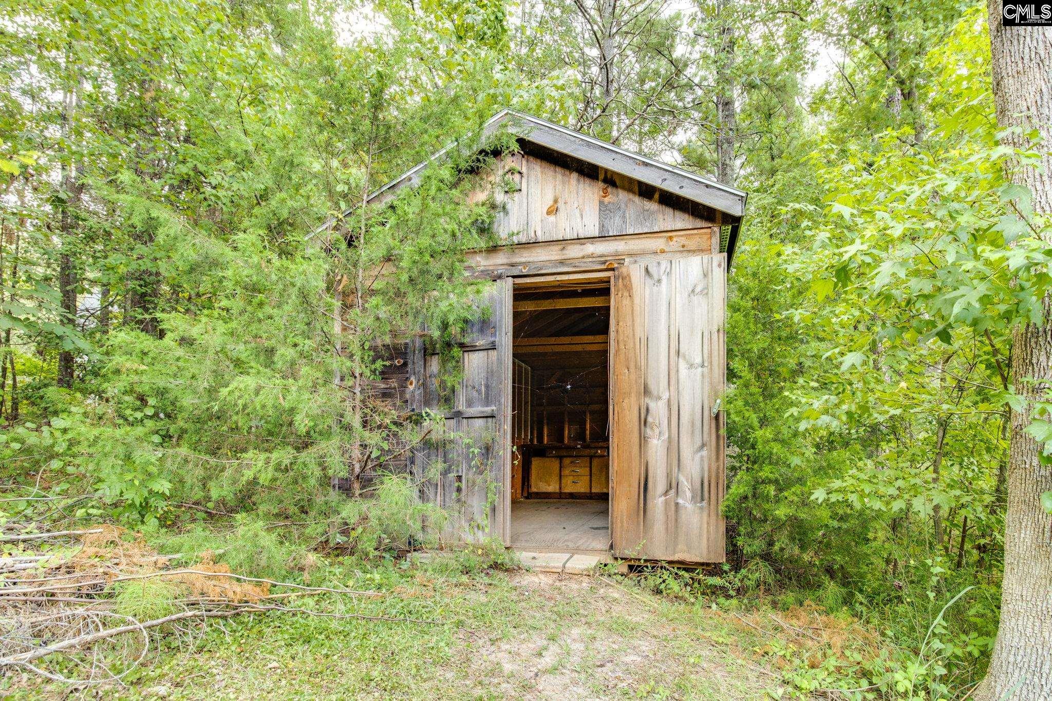 141 Eagle Chase Court Chapin, SC 29036