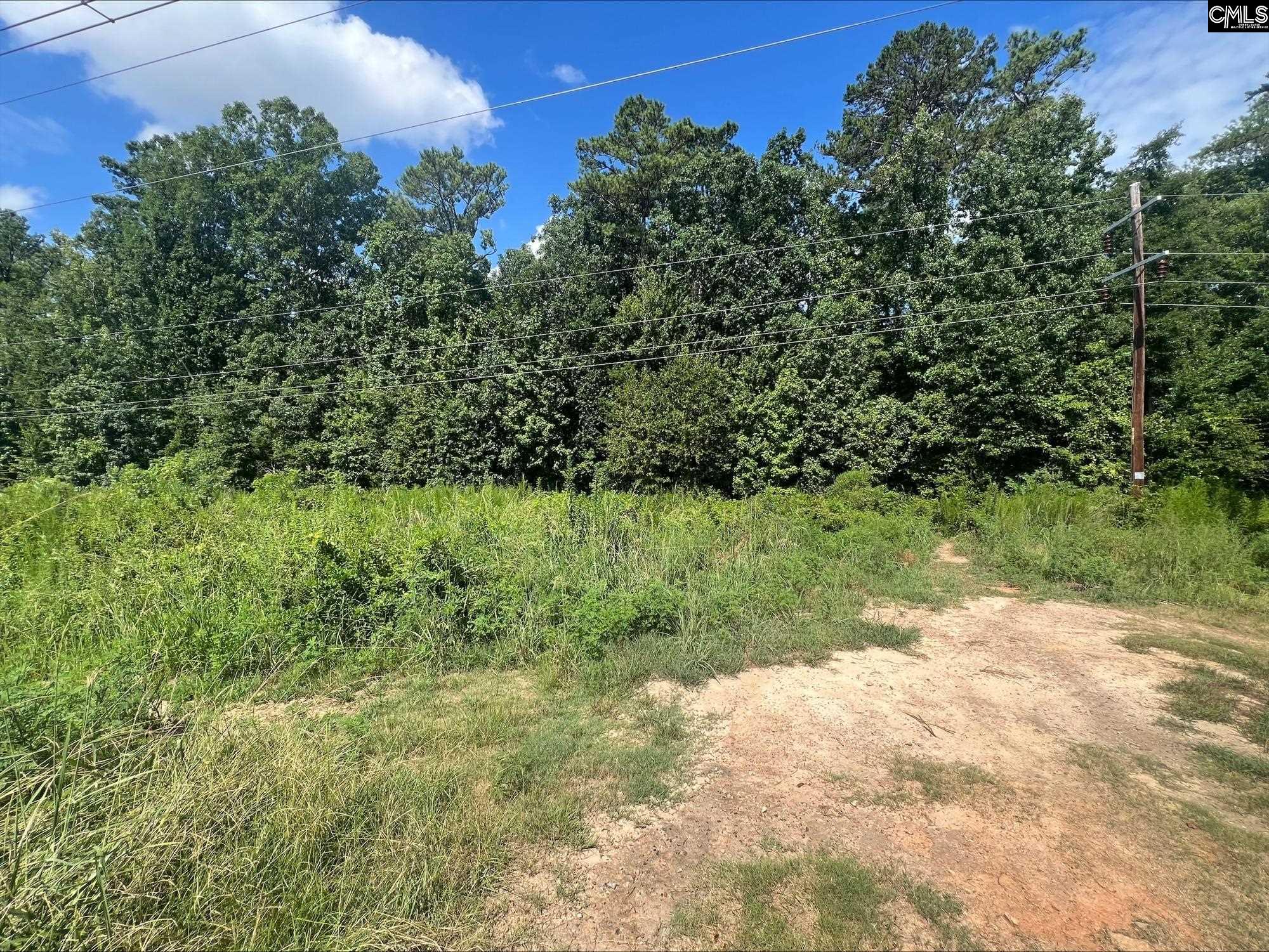 Roper Mountain Court Lexington, SC 29073