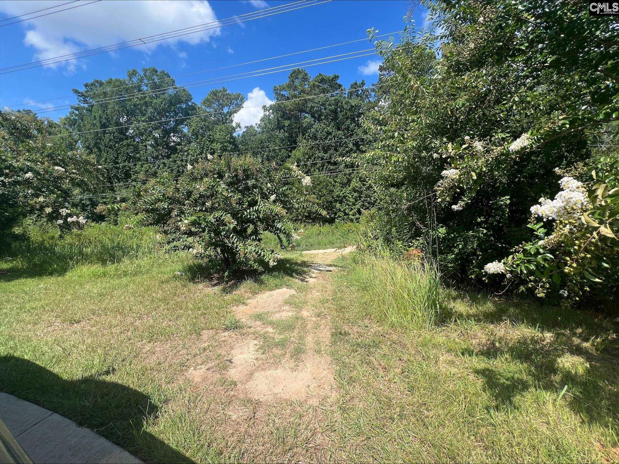 Roper Mountain Court Lexington, SC 29073