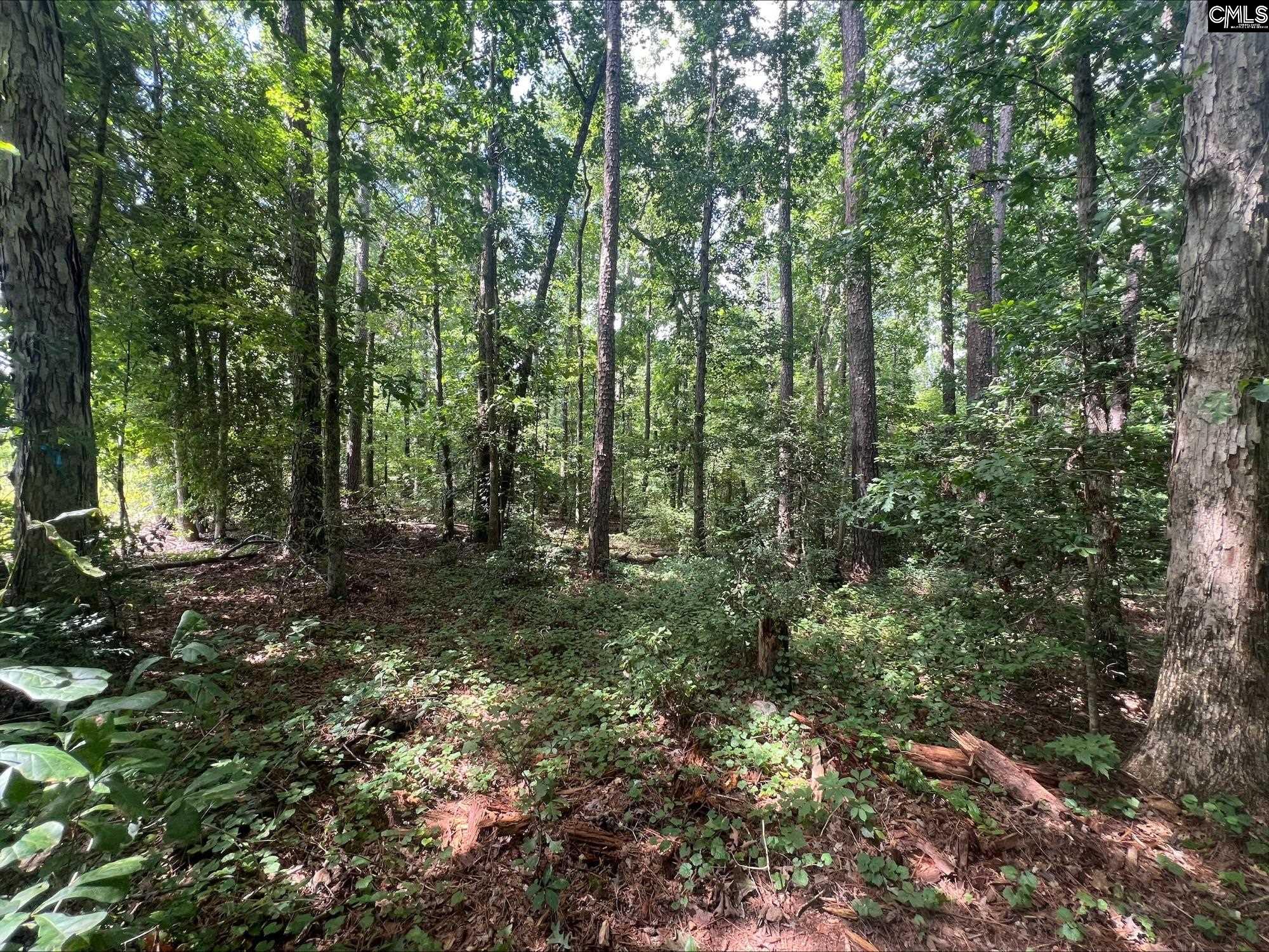 Roper Mountain Court Lexington, SC 29073