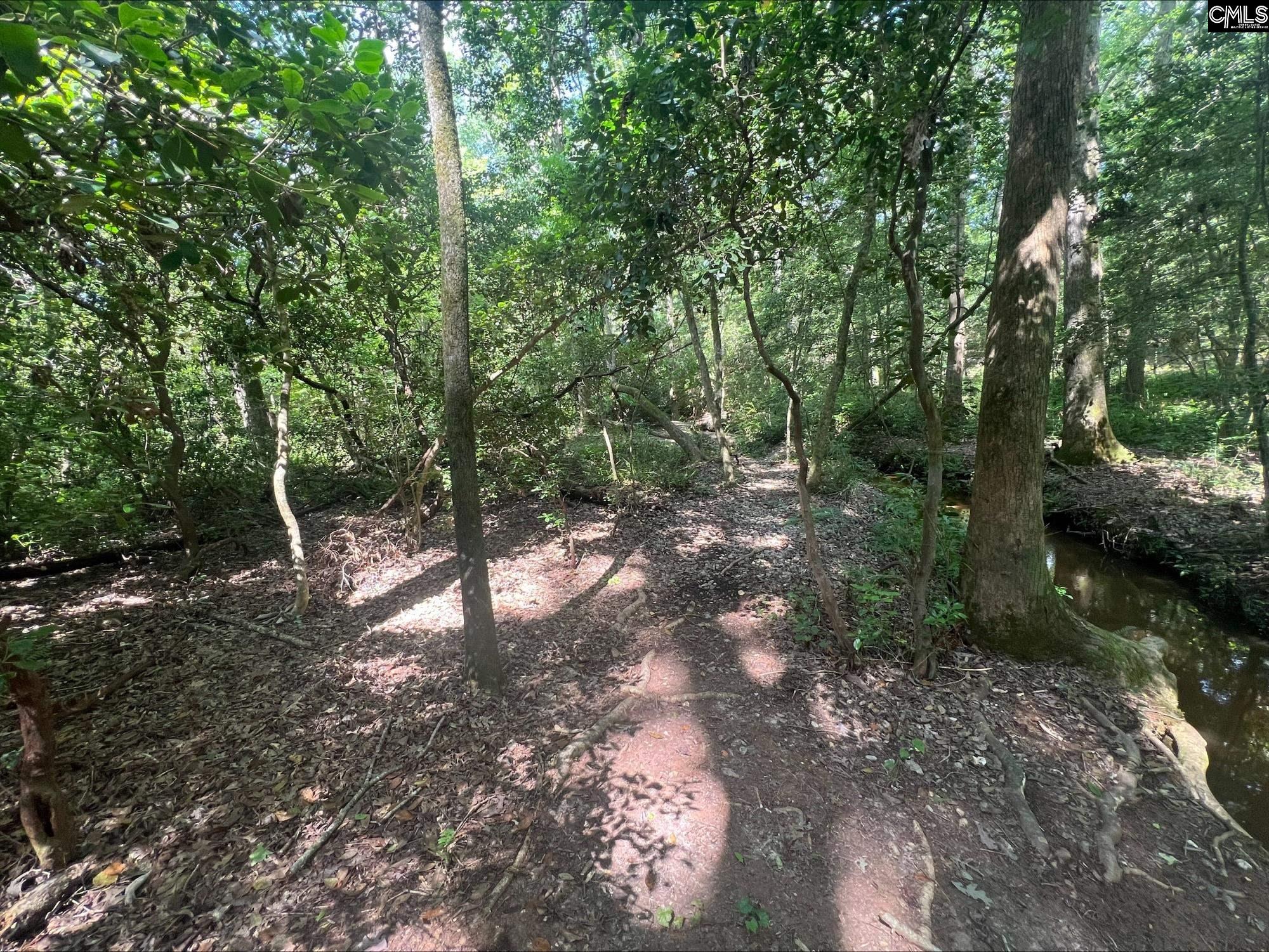 Roper Mountain Court Lexington, SC 29073