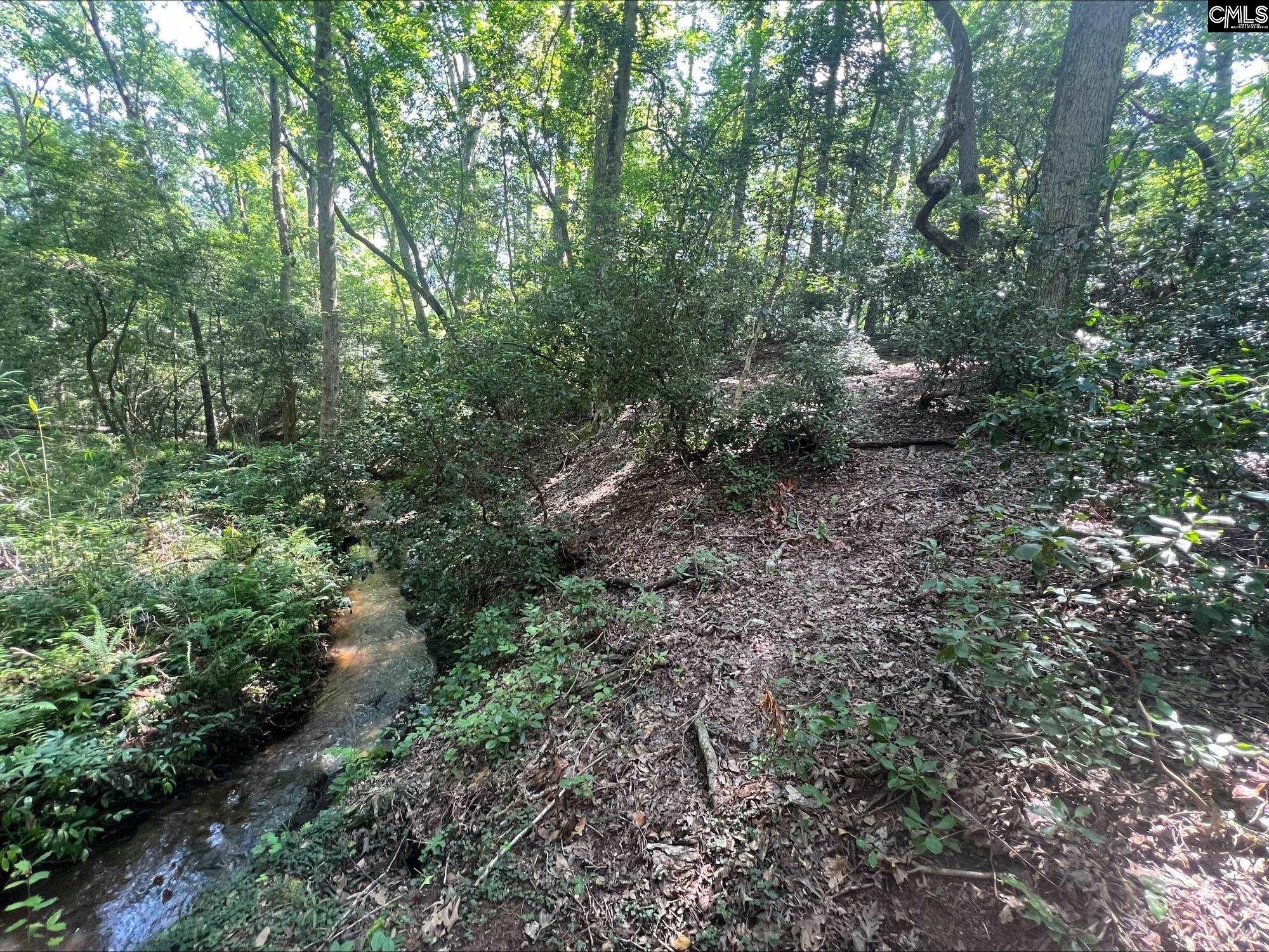 Roper Mountain Court Lexington, SC 29073
