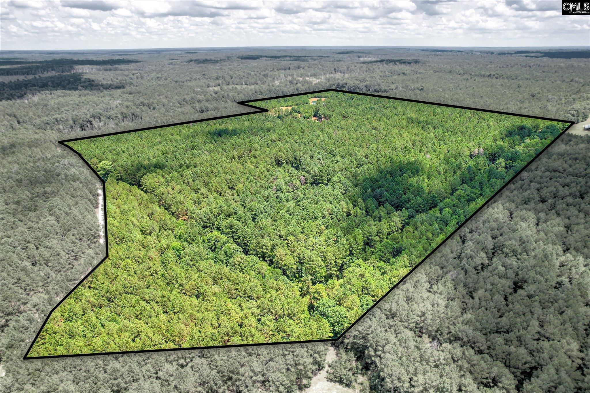 395 New Cut Road Edgefield, SC 29824
