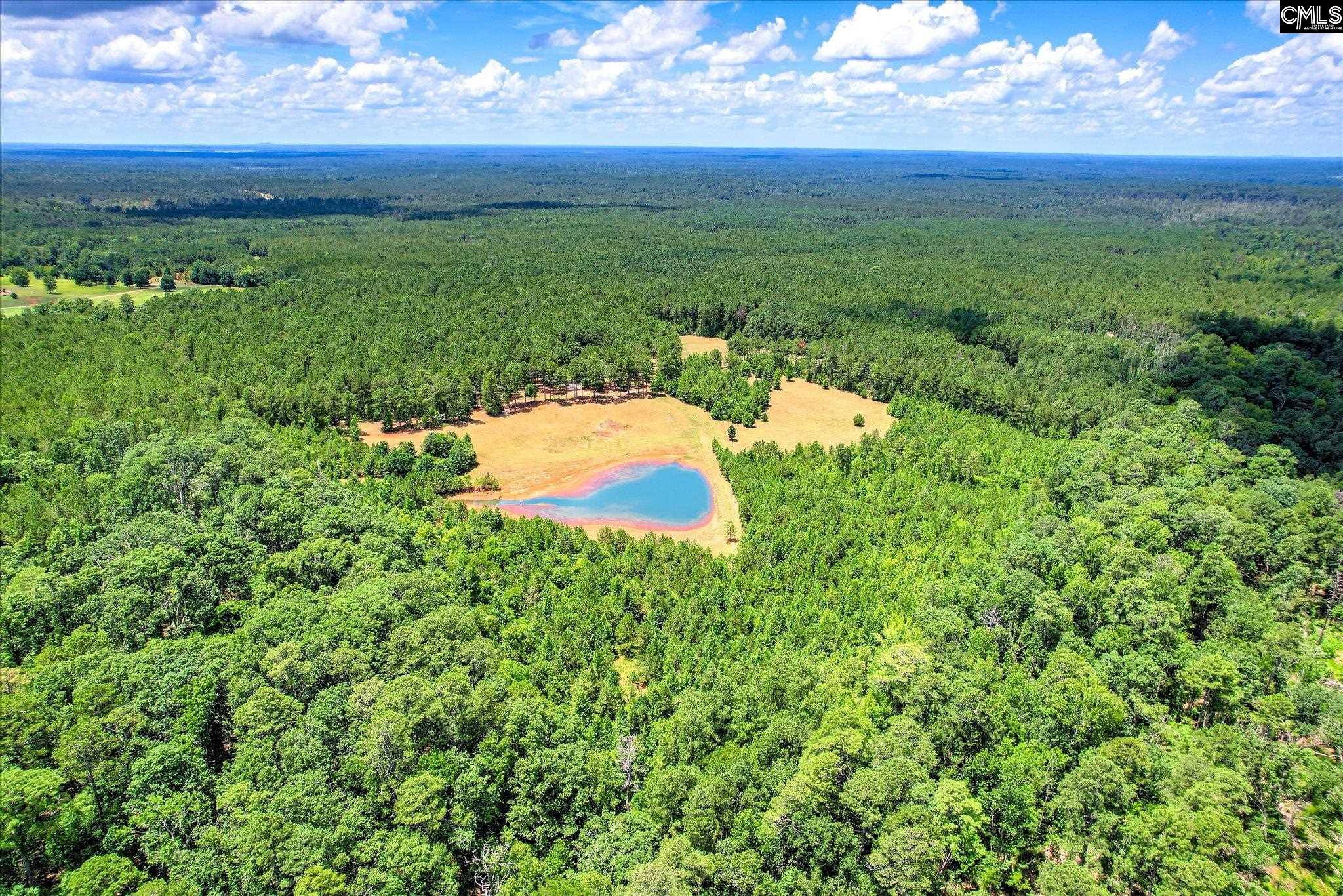 395 New Cut Road Edgefield, SC 29824