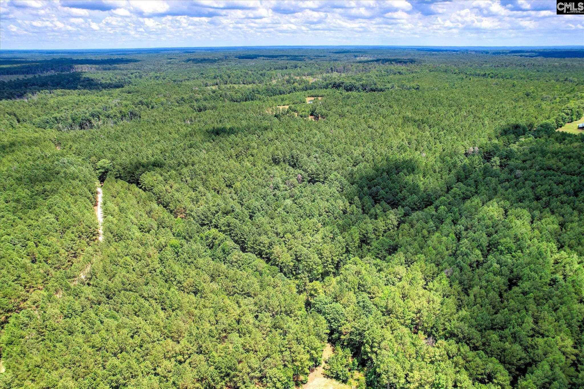 395 New Cut Road Edgefield, SC 29824