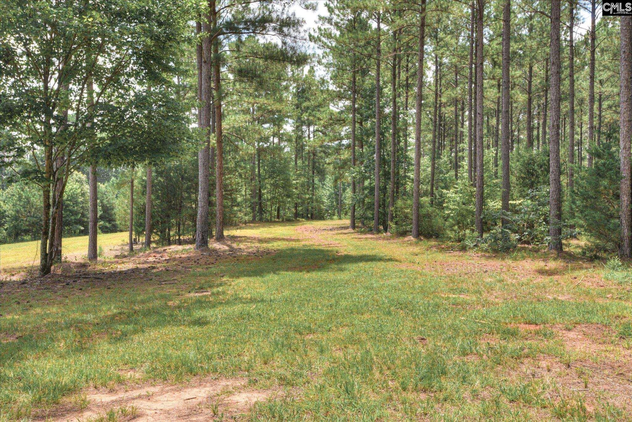 395 New Cut Road Edgefield, SC 29824