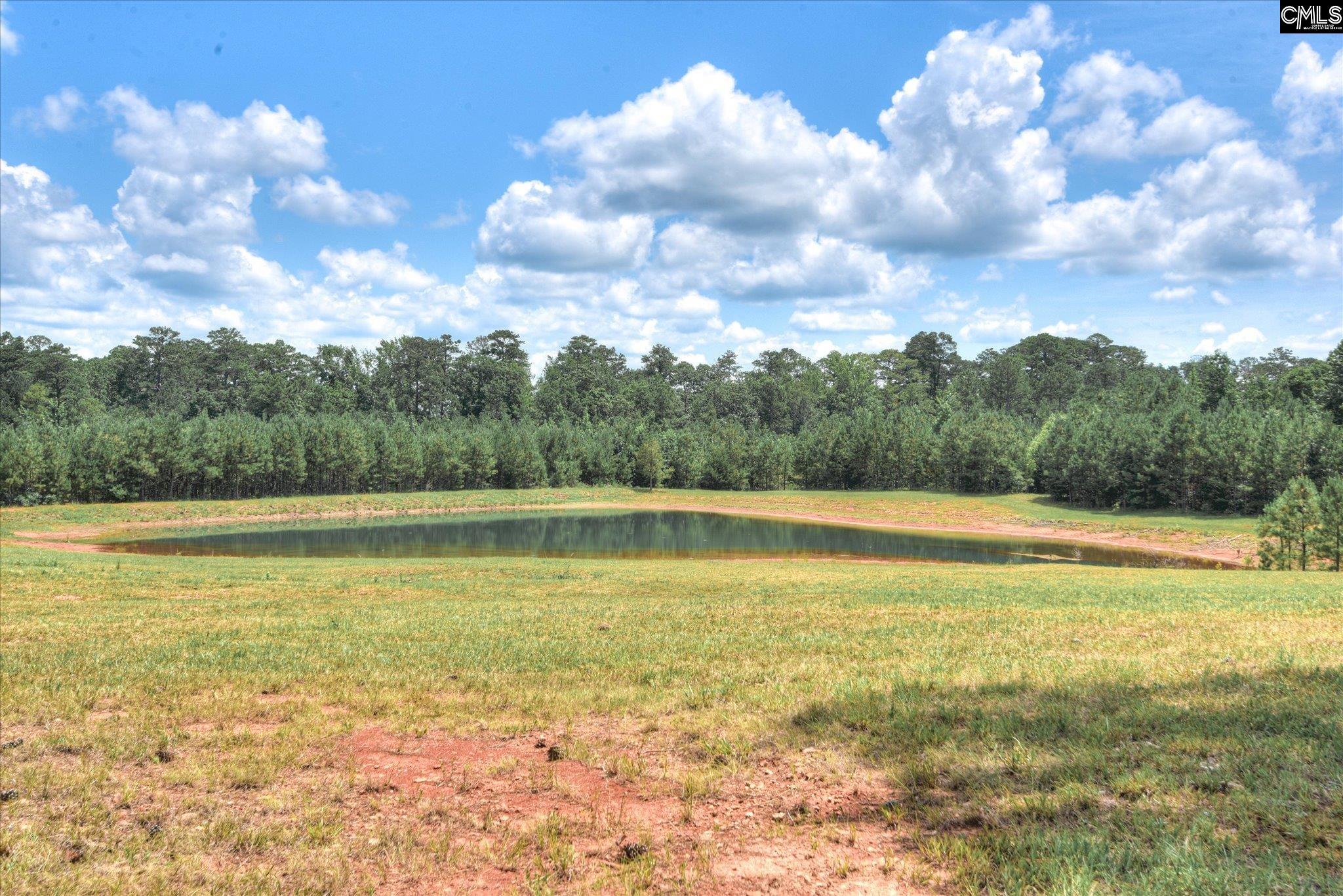 395 New Cut Road Edgefield, SC 29824