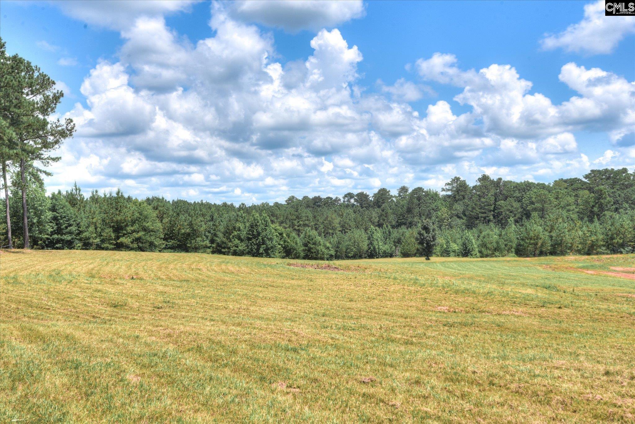 395 New Cut Road Edgefield, SC 29824
