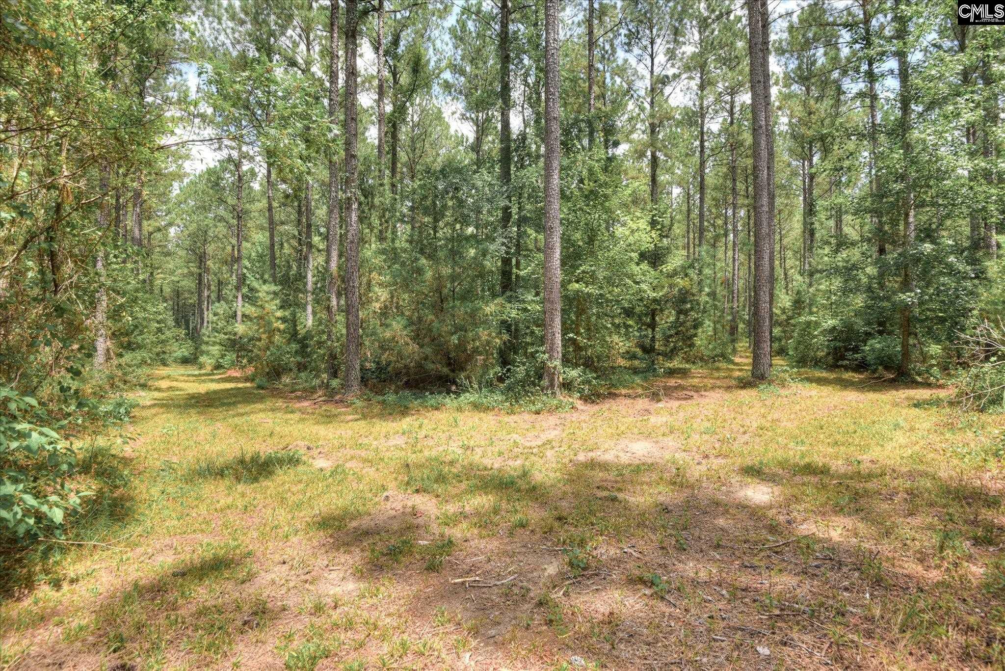 395 New Cut Road Edgefield, SC 29824