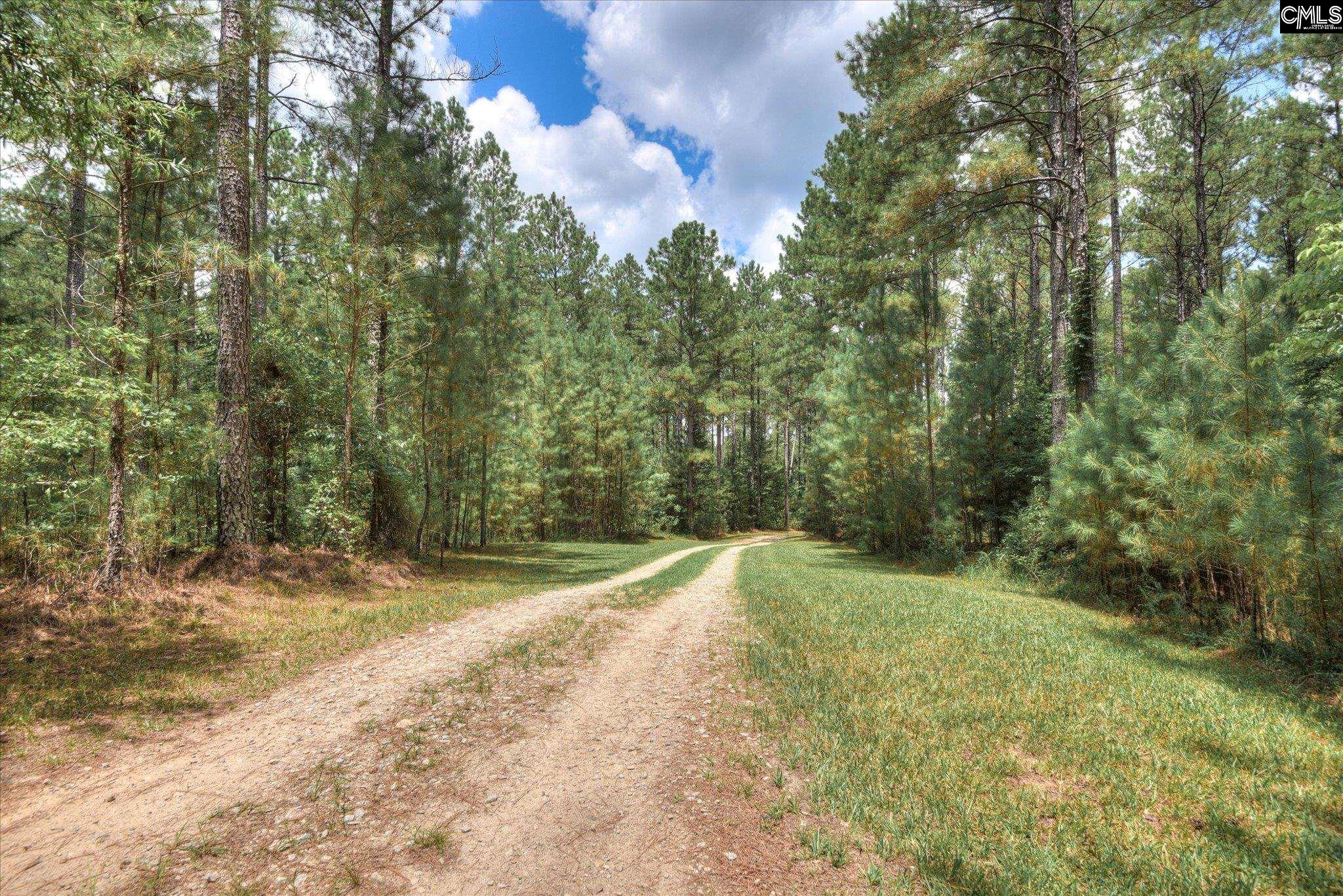 395 New Cut Road Edgefield, SC 29824