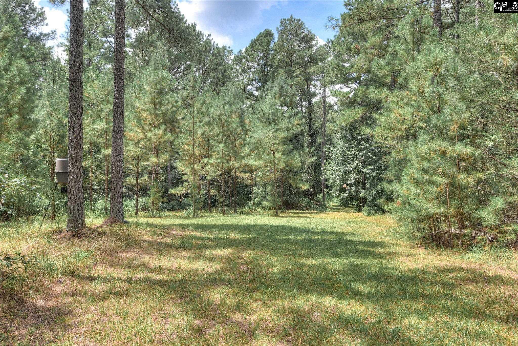 395 New Cut Road Edgefield, SC 29824