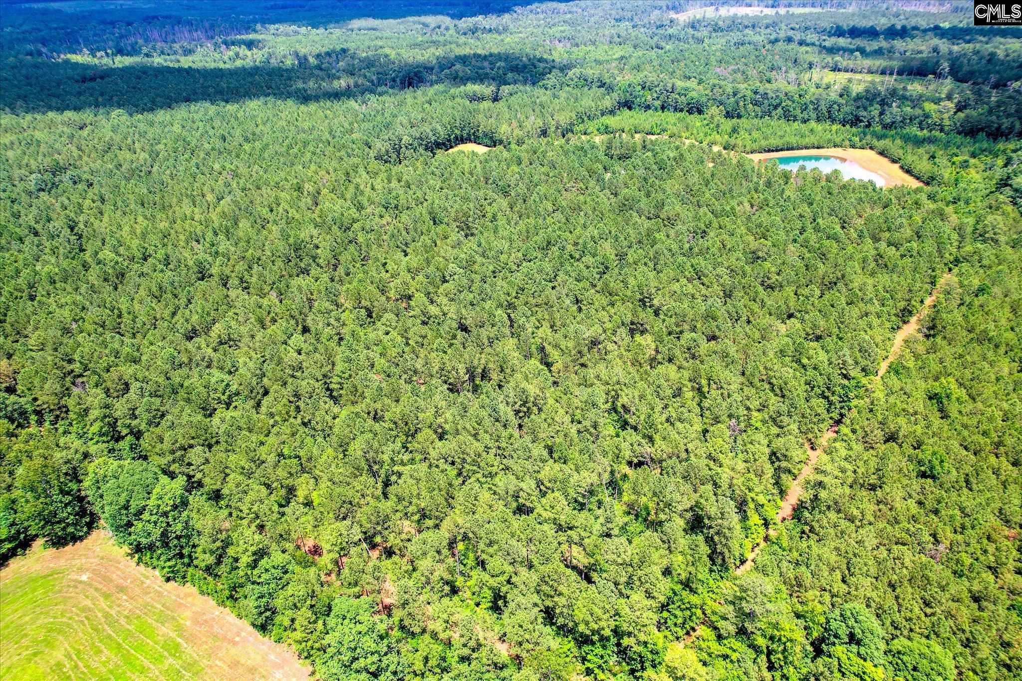 395 New Cut Road Edgefield, SC 29824