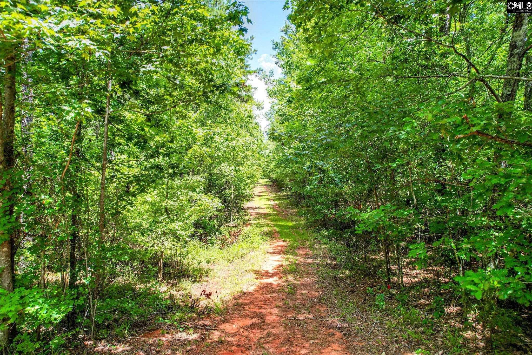 395 New Cut Road Edgefield, SC 29824