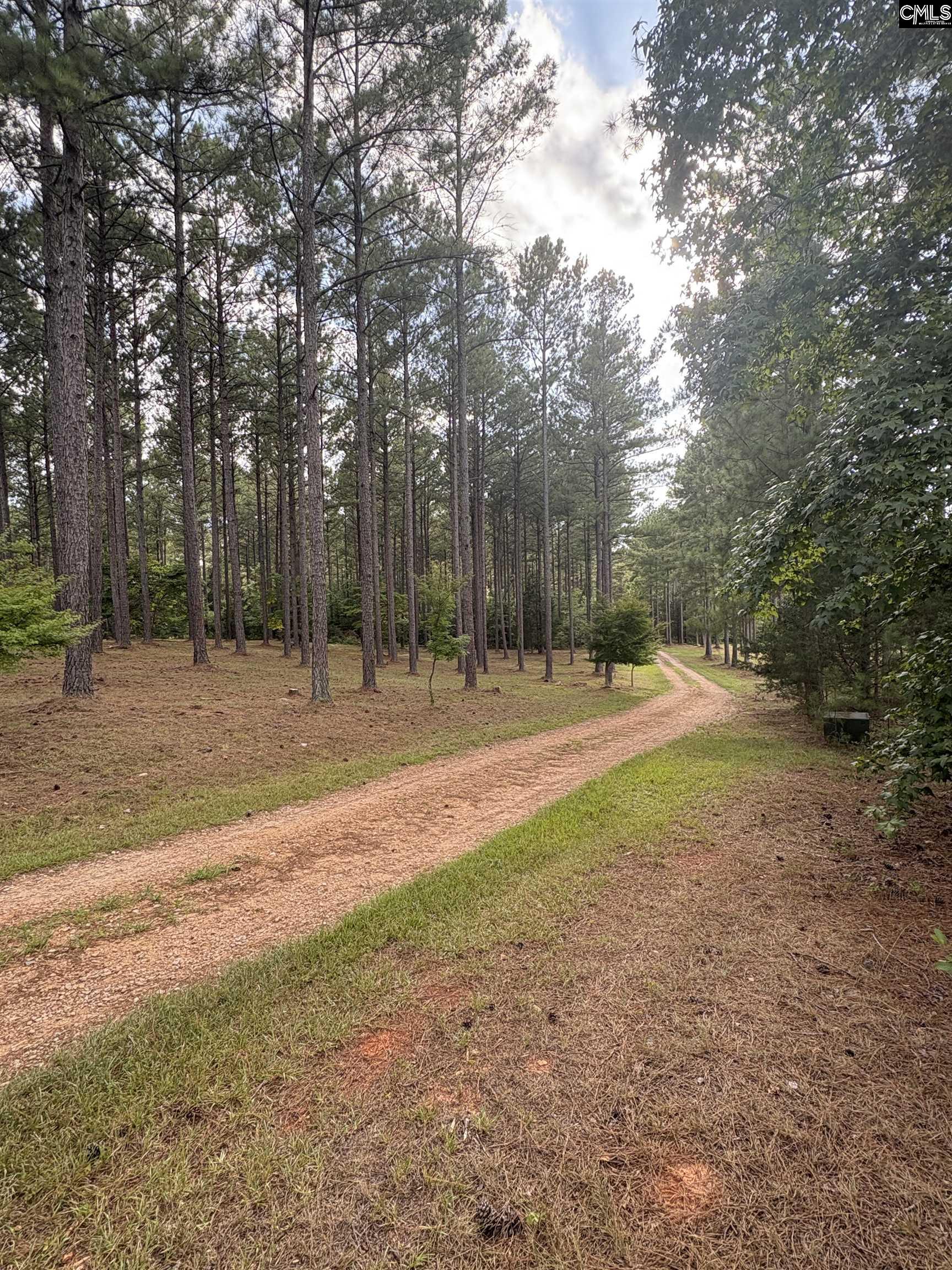 395 New Cut Road Edgefield, SC 29824